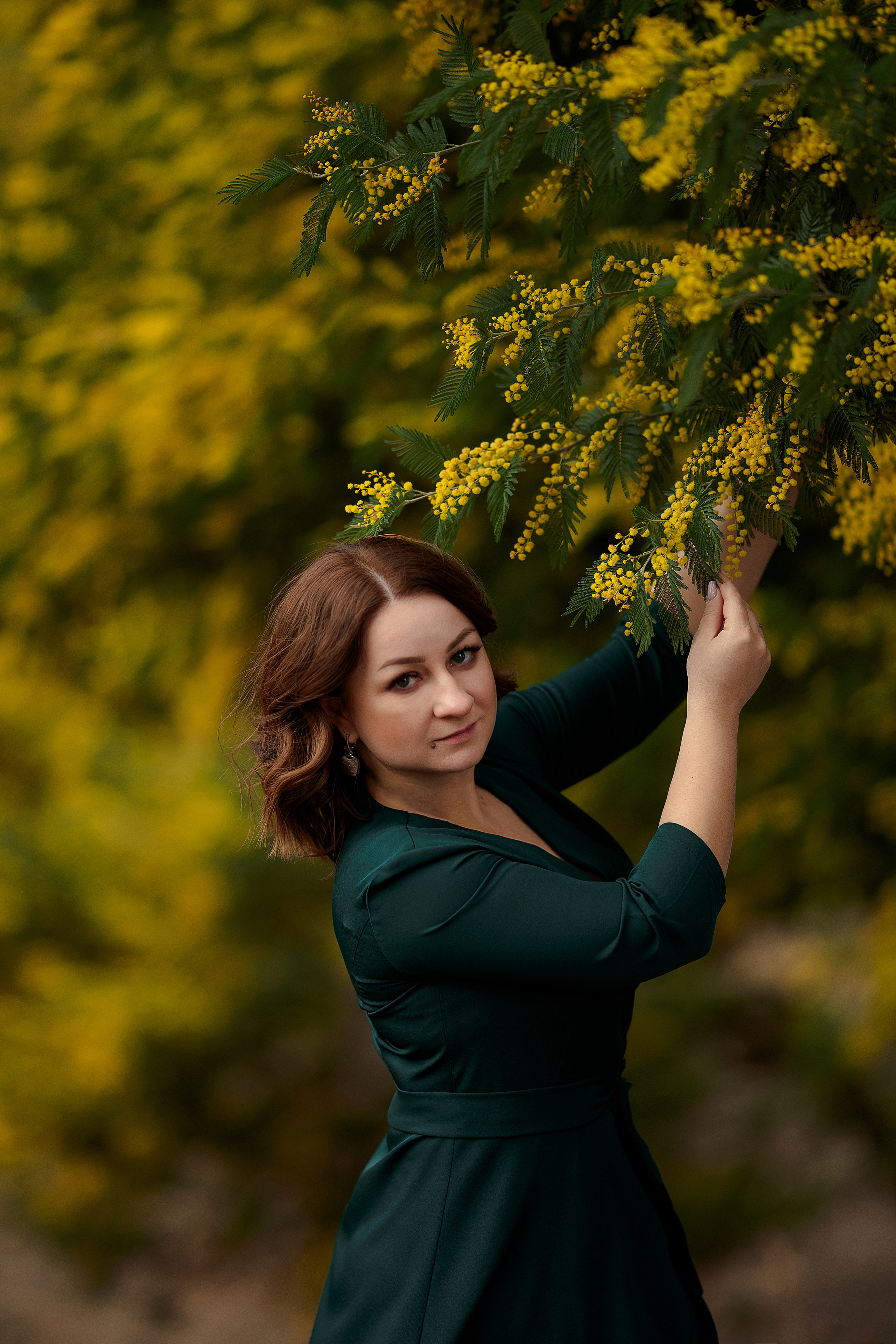 Дерево мимозы, цветение мимозы, женский портрет, цветущие сады. Свадебный фотограф Новороссийск Марина КрамарИна Полещук