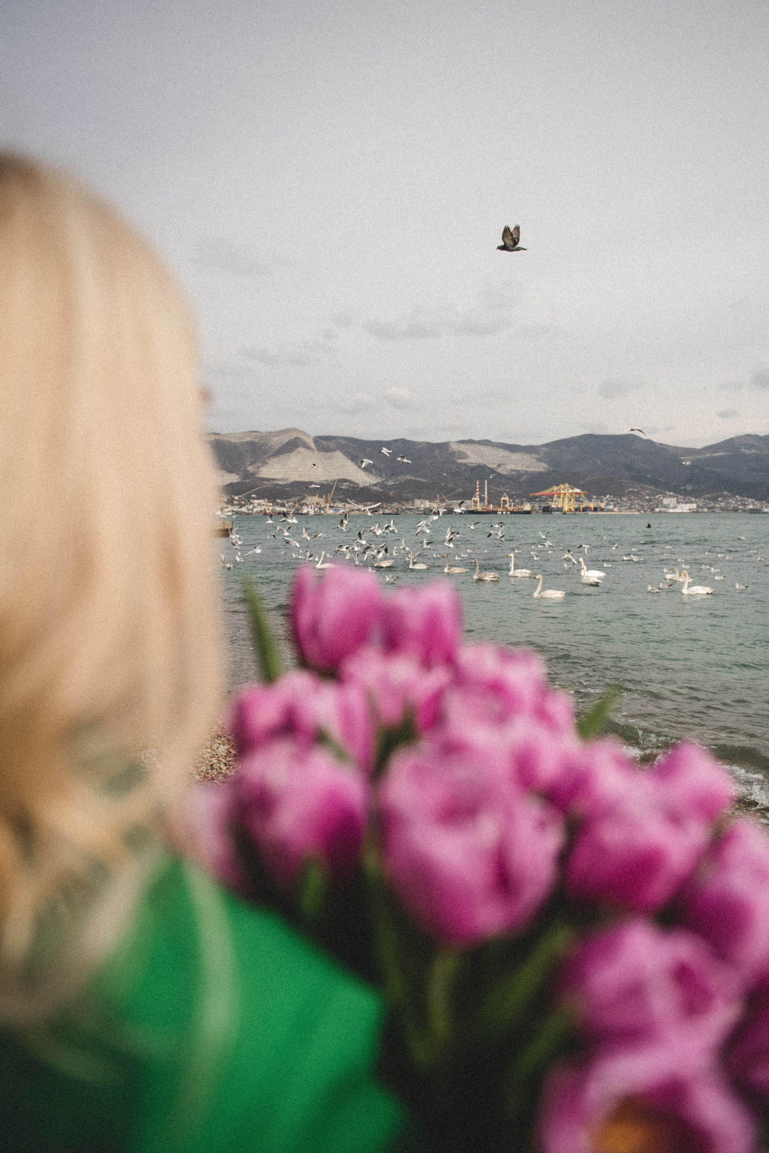 Фотограф новороссийск, женская фотосессия с цветами, фотосессия весной. Свадебный фотограф Новороссийск Марина КрамарИна Полещук