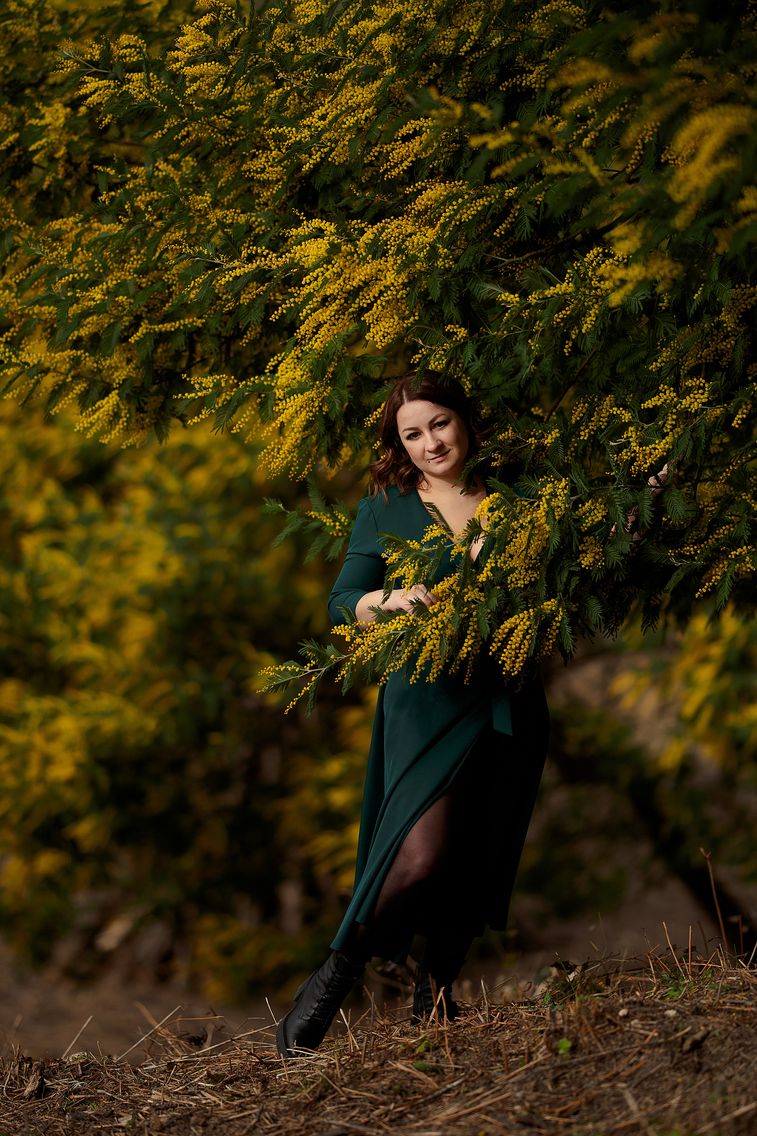 Дерево мимозы, цветение мимозы, женский портрет, цветущие сады. Свадебный фотограф Новороссийск Марина КрамарИна Полещук