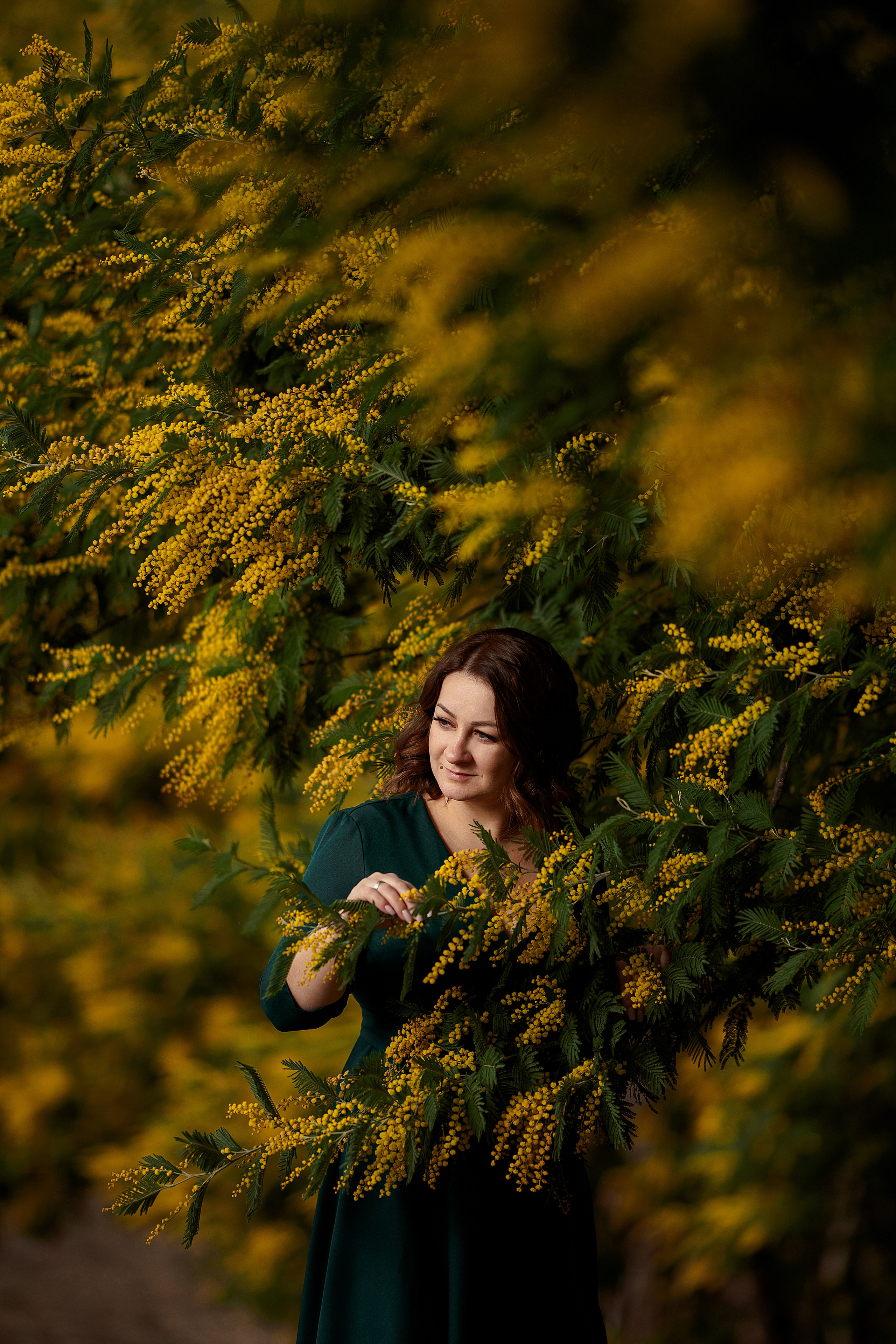 Дерево мимозы, цветение мимозы, женский портрет, цветущие сады. Свадебный фотограф Новороссийск Марина КрамарИна Полещук