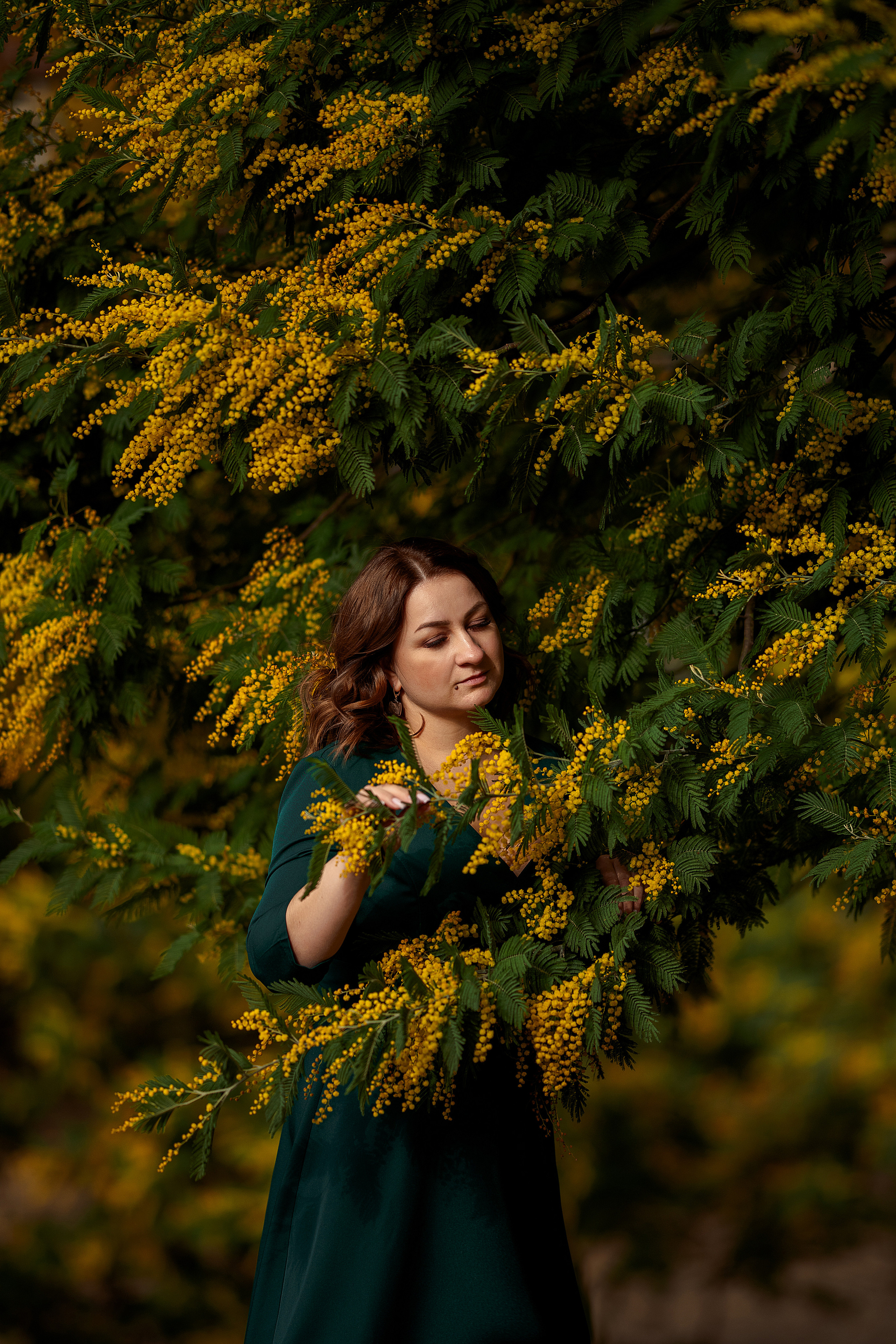 Дерево мимозы, цветение мимозы, женский портрет, цветущие сады. Свадебный фотограф Новороссийск Марина КрамарИна Полещук