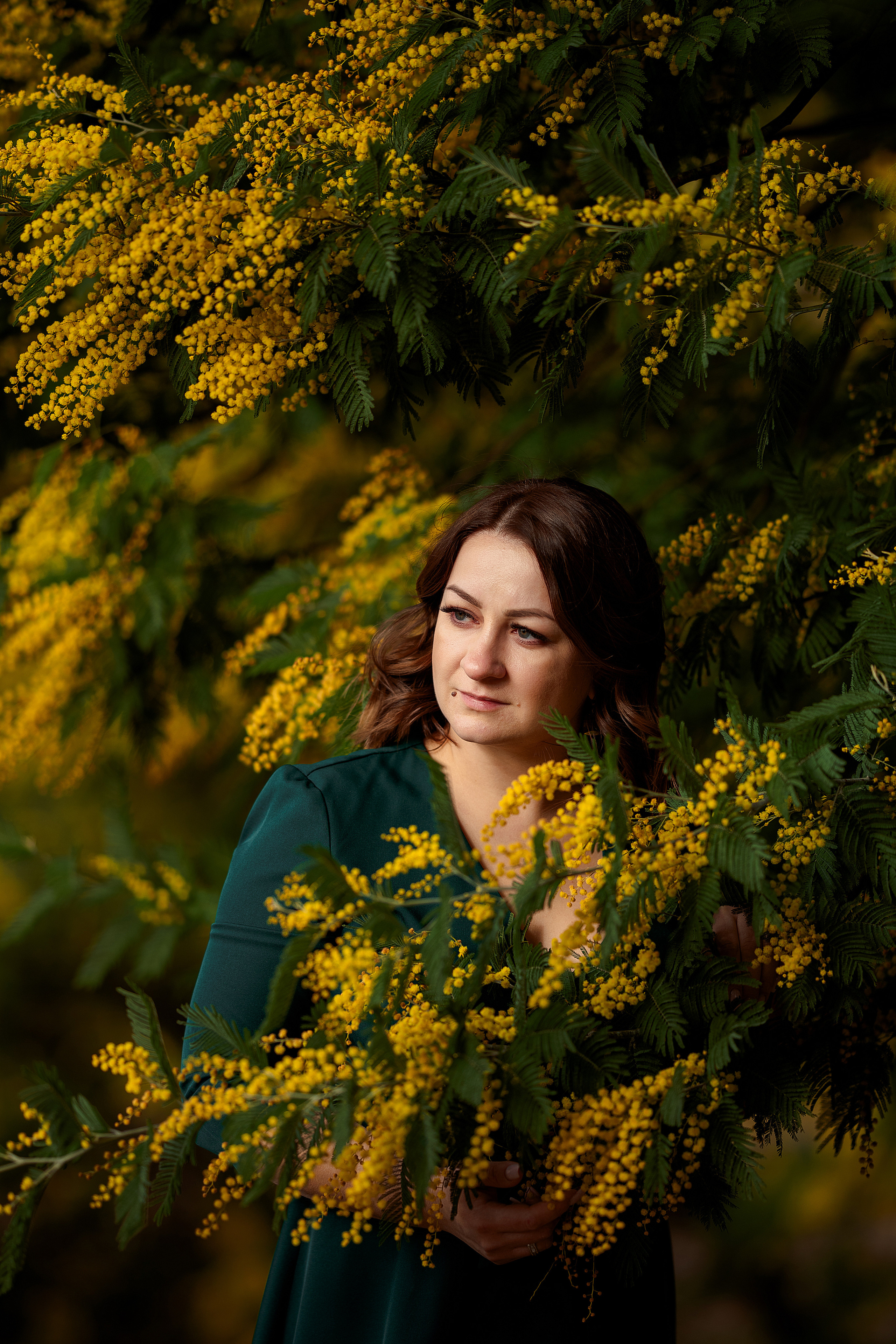 Дерево мимозы, цветение мимозы, женский портрет, цветущие сады. Свадебный фотограф Новороссийск Марина КрамарИна Полещук