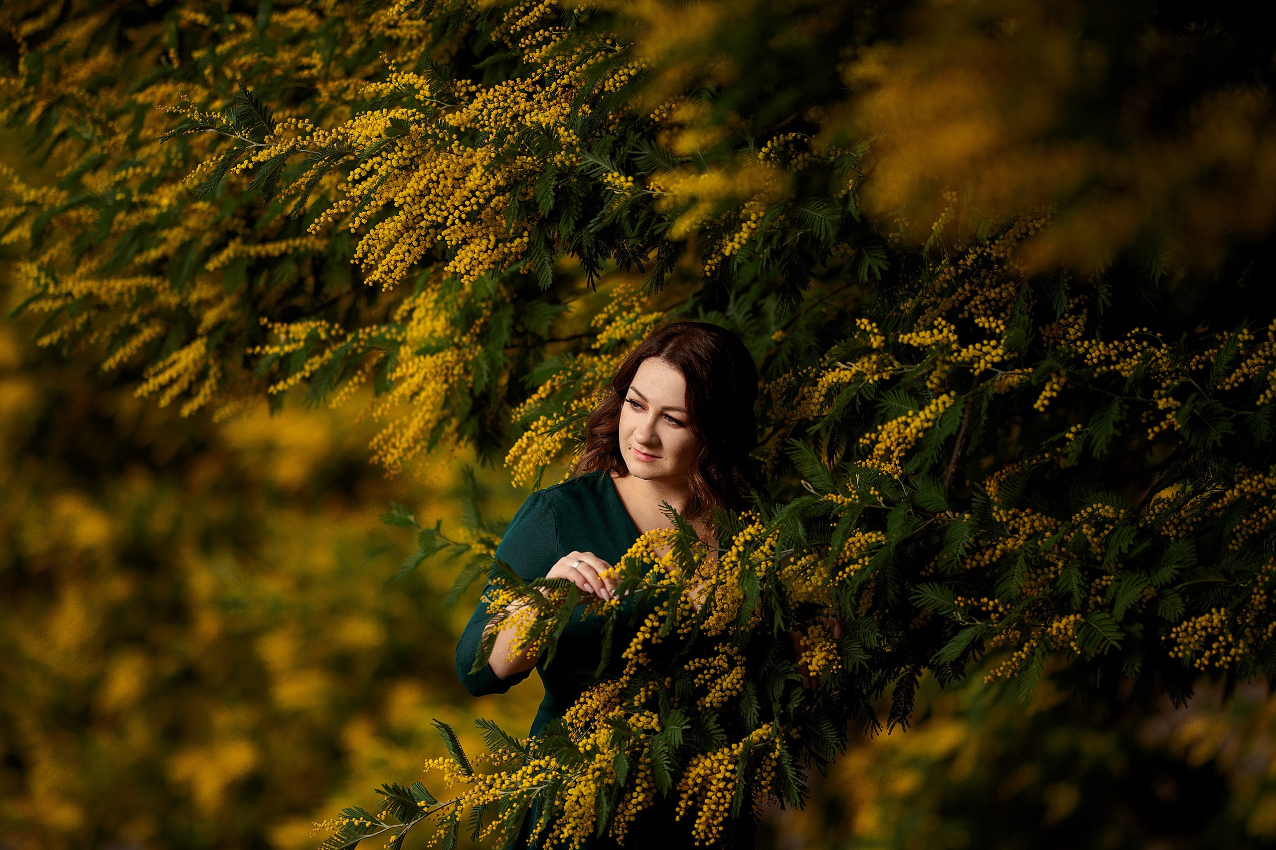 Дерево мимозы, цветение мимозы, женский портрет, цветущие сады. Свадебный фотограф Новороссийск Марина КрамарИна Полещук