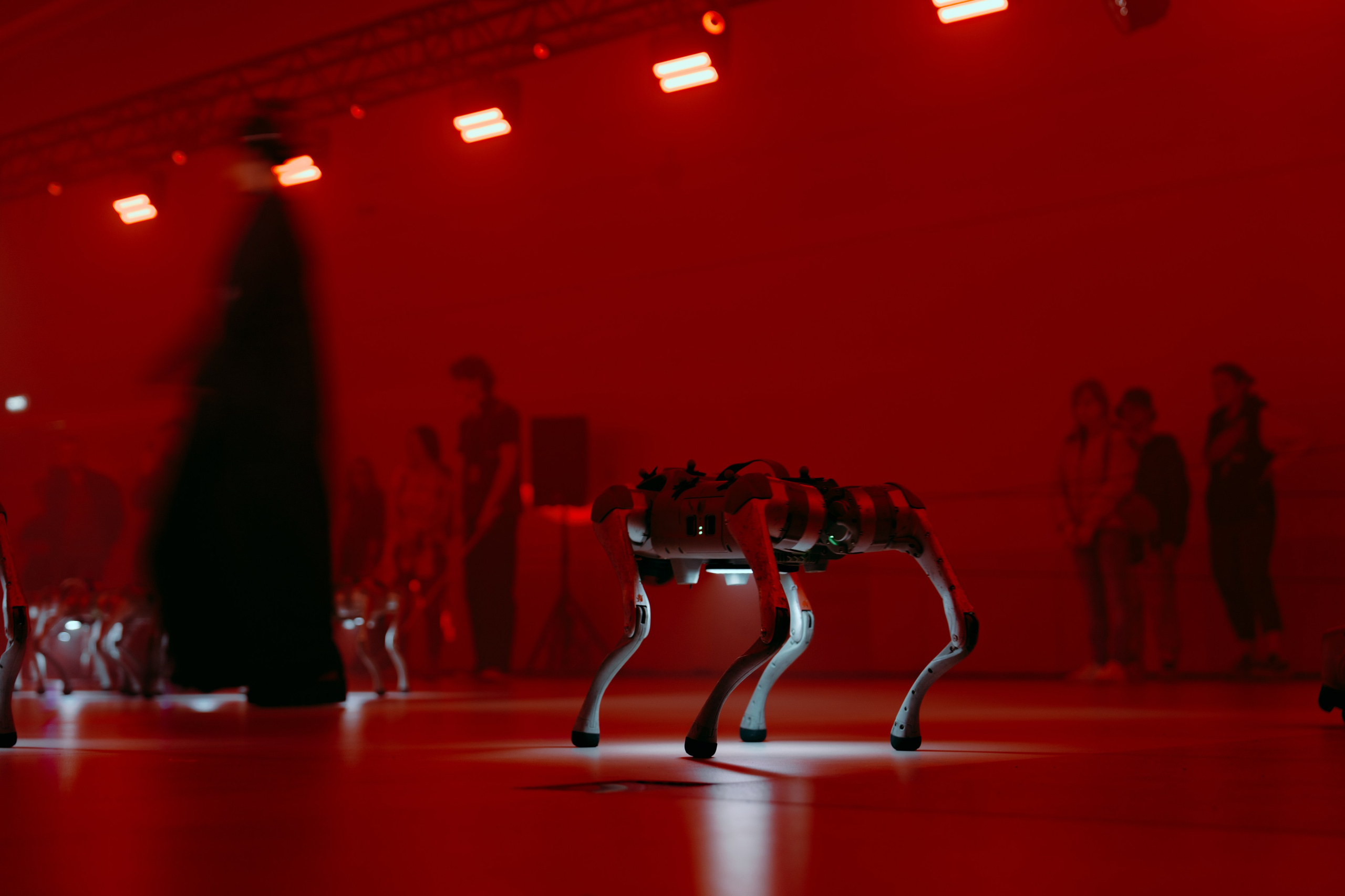 Intervals Festival 2025. @tomrus: Рустам Шагиморданов — фотограф