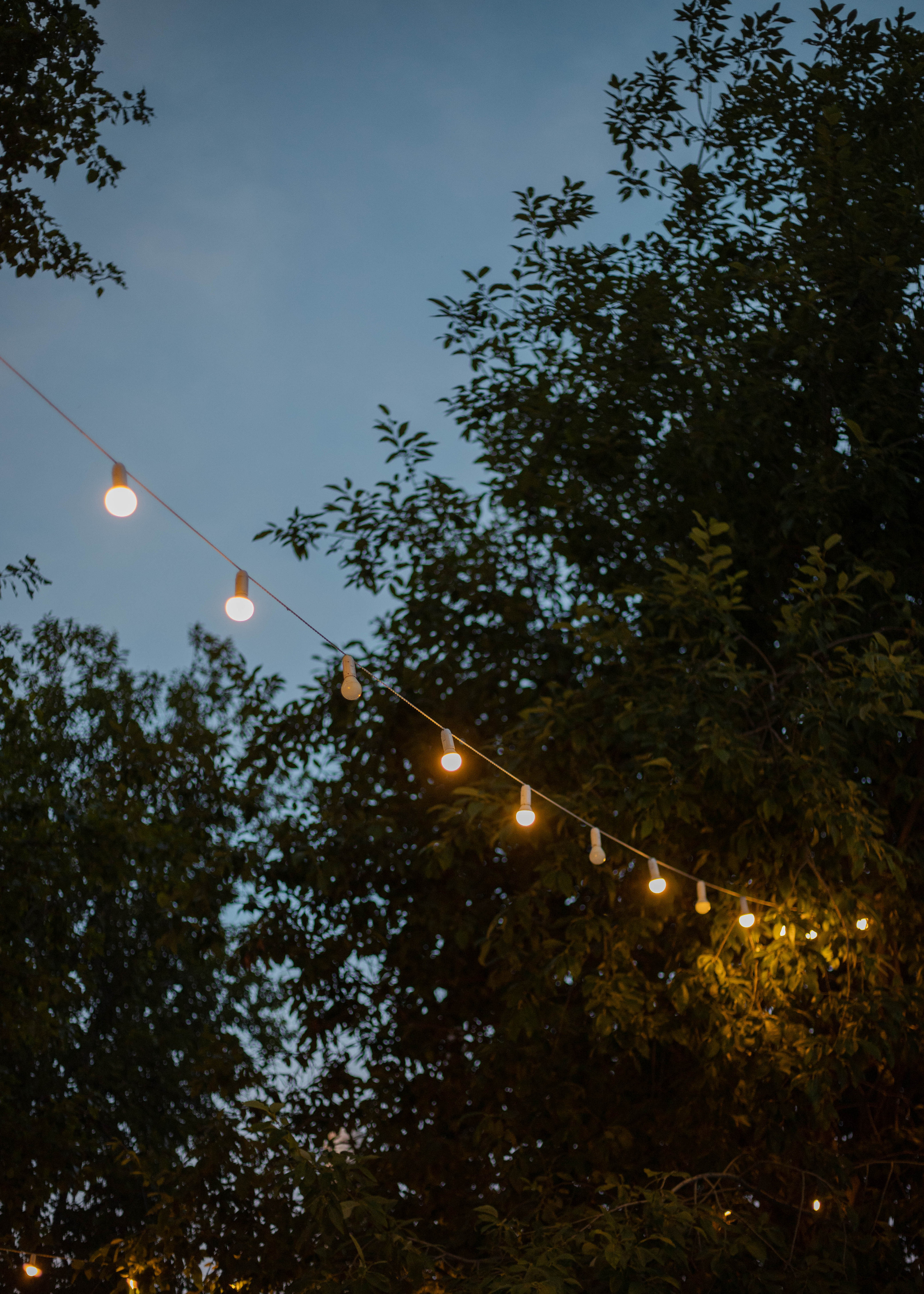 Алина и Алексей. Утонченный фотограф в Санкт-Петербурге Ксения Пелевина