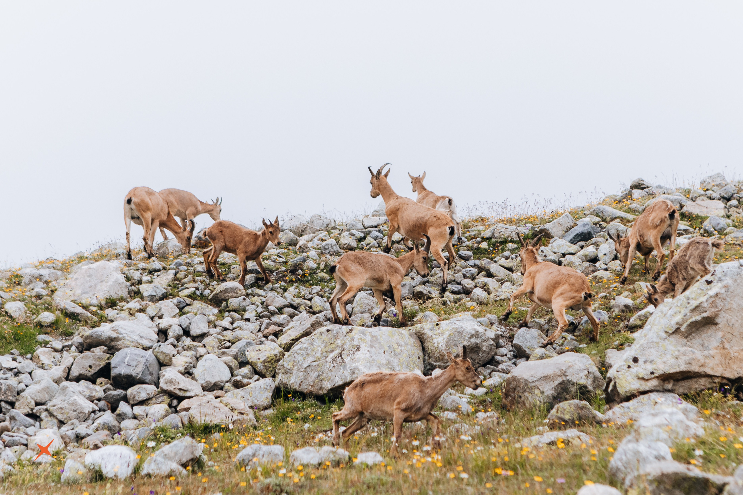 Безенги 4Sklona. Портреты и лайфстайл в Краснодаре