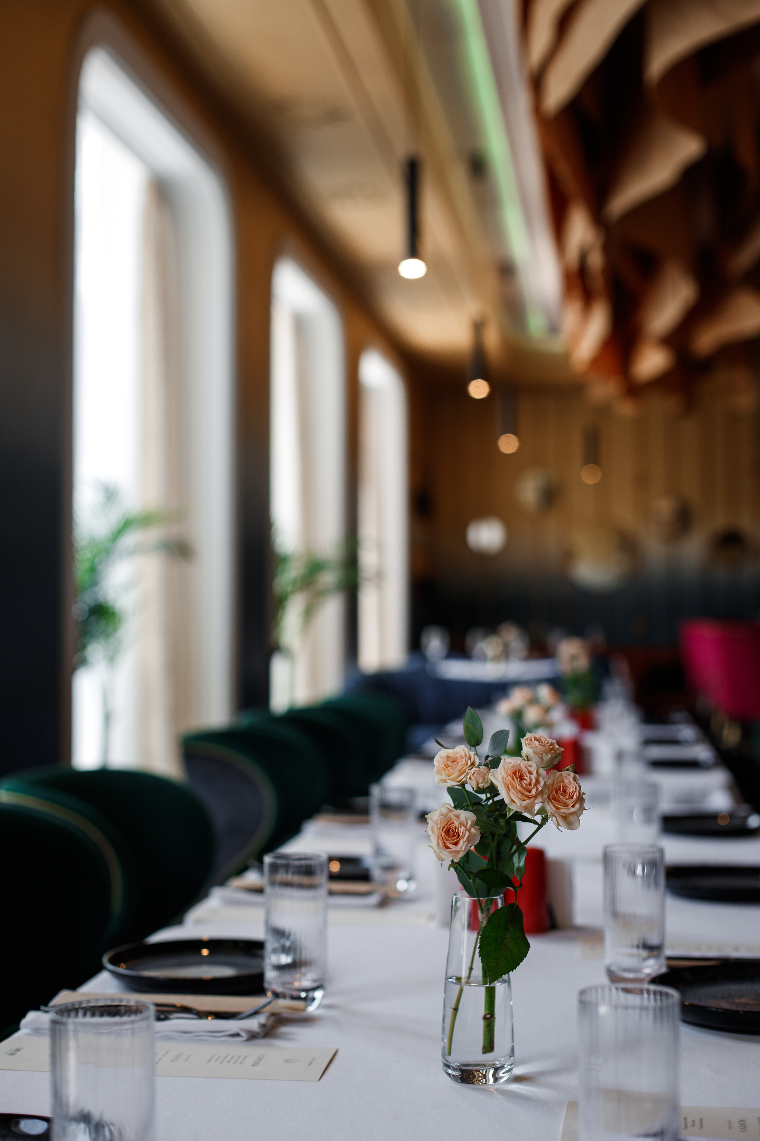 Прогулка для ДельМар. Фотограф Галина Скорик