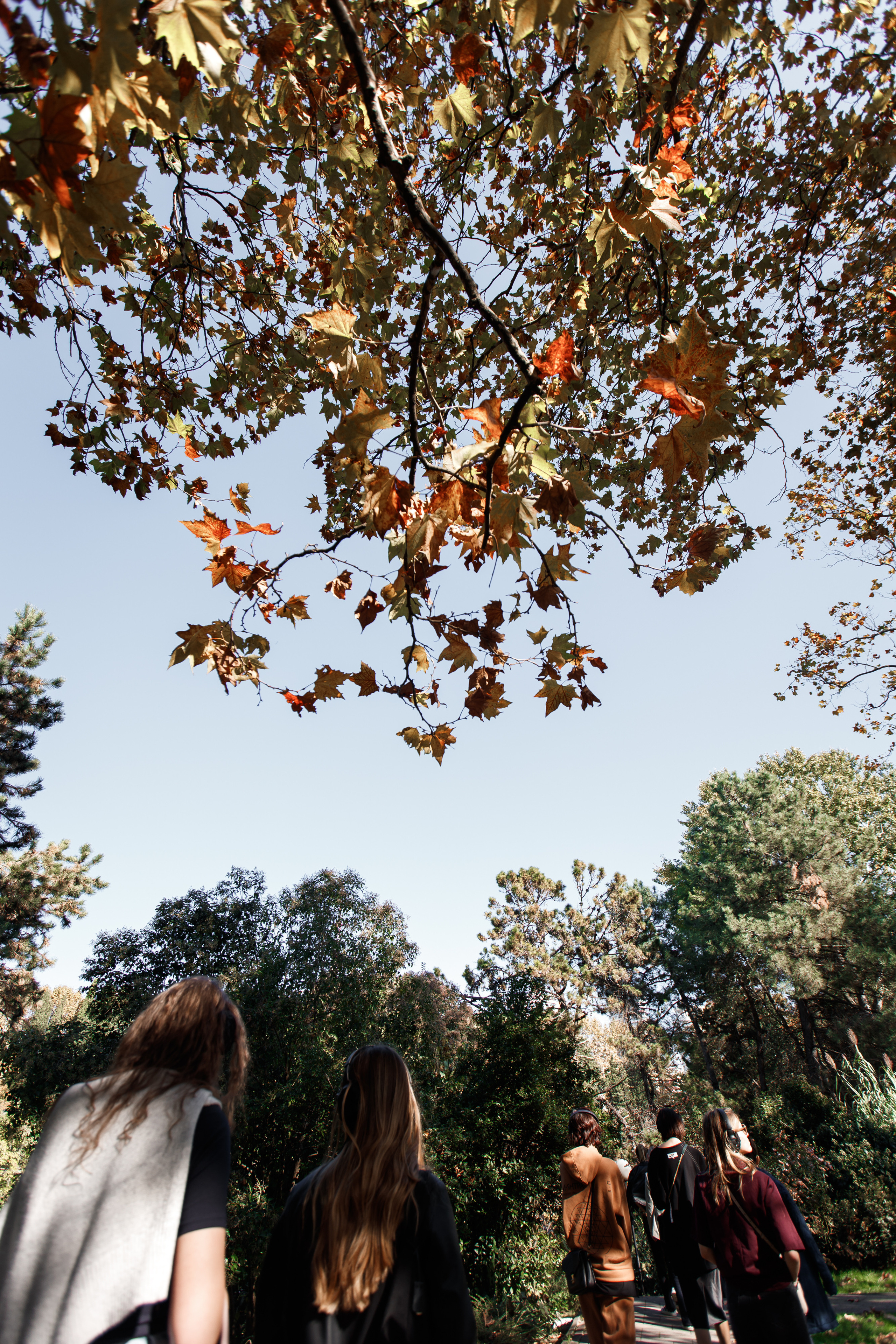 Прогулка для ДельМар. Фотограф Галина Скорик