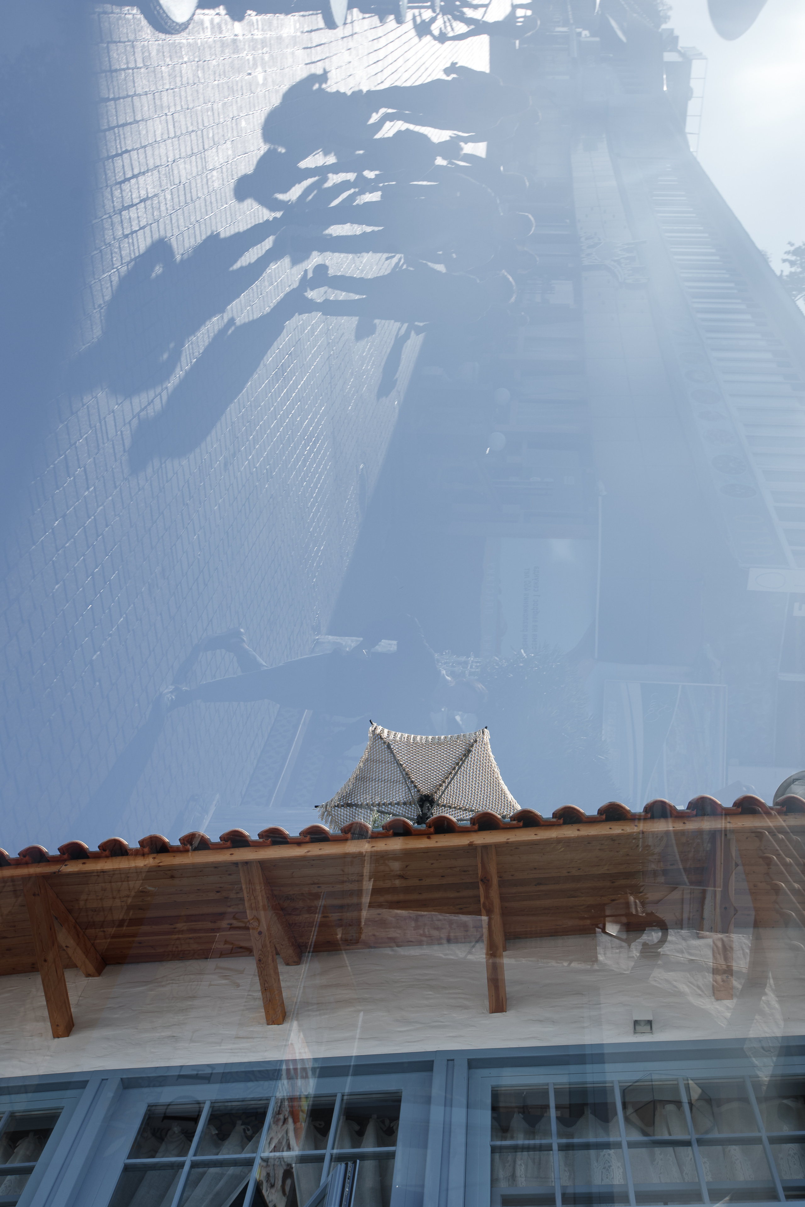 Прогулка для ДельМар. Фотограф Галина Скорик