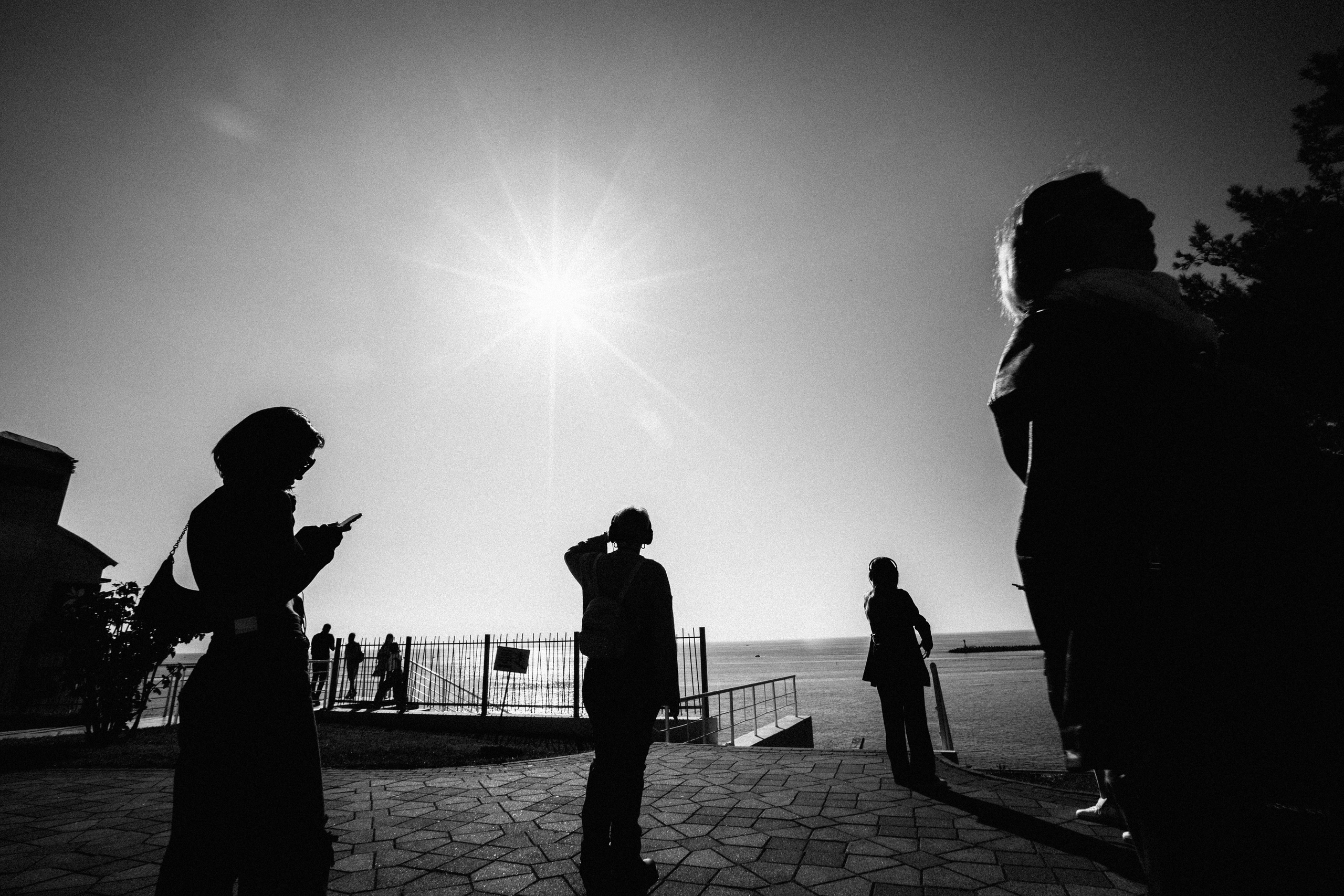 Прогулка для ДельМар. Фотограф Галина Скорик