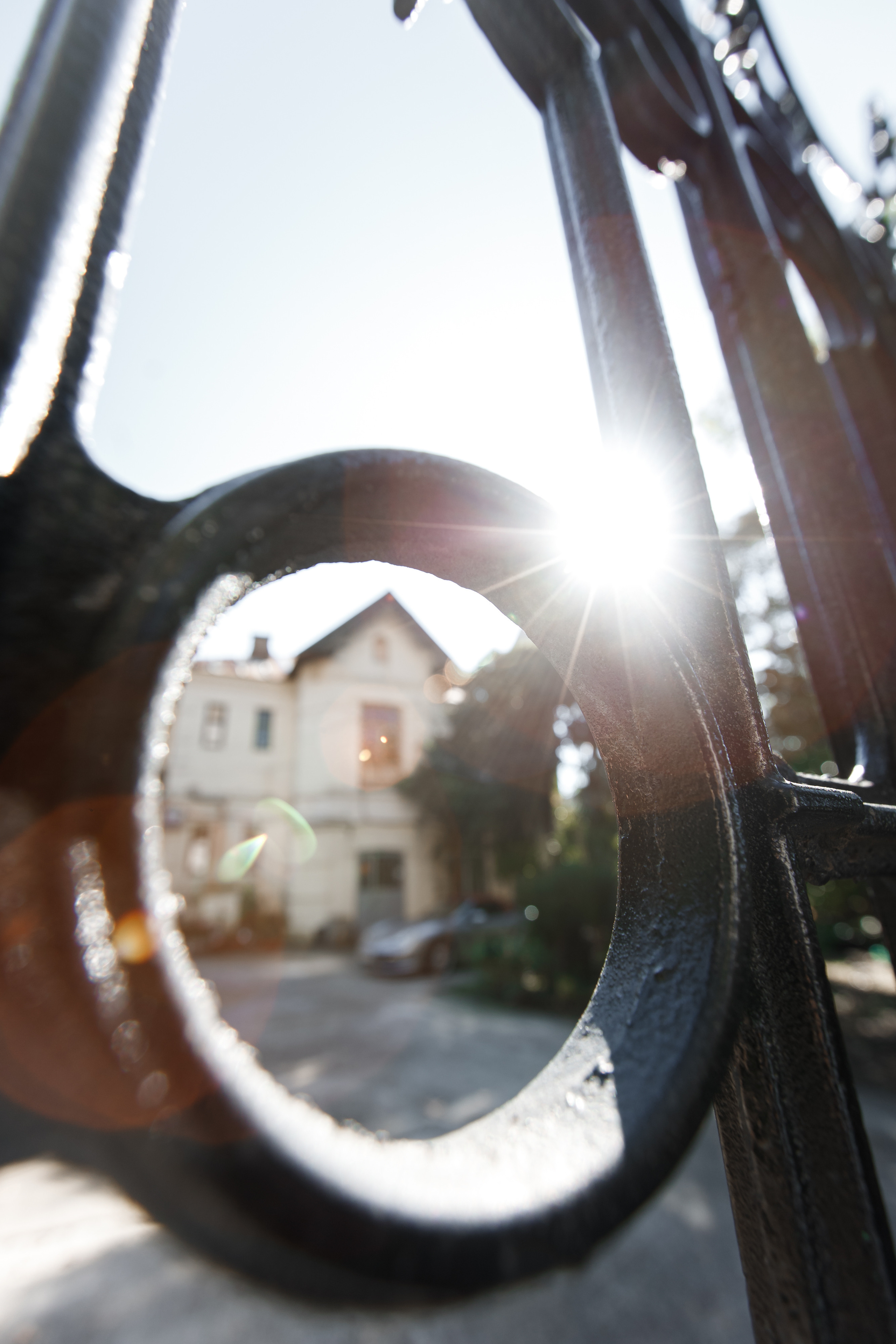 Прогулка для ДельМар. Фотограф Галина Скорик