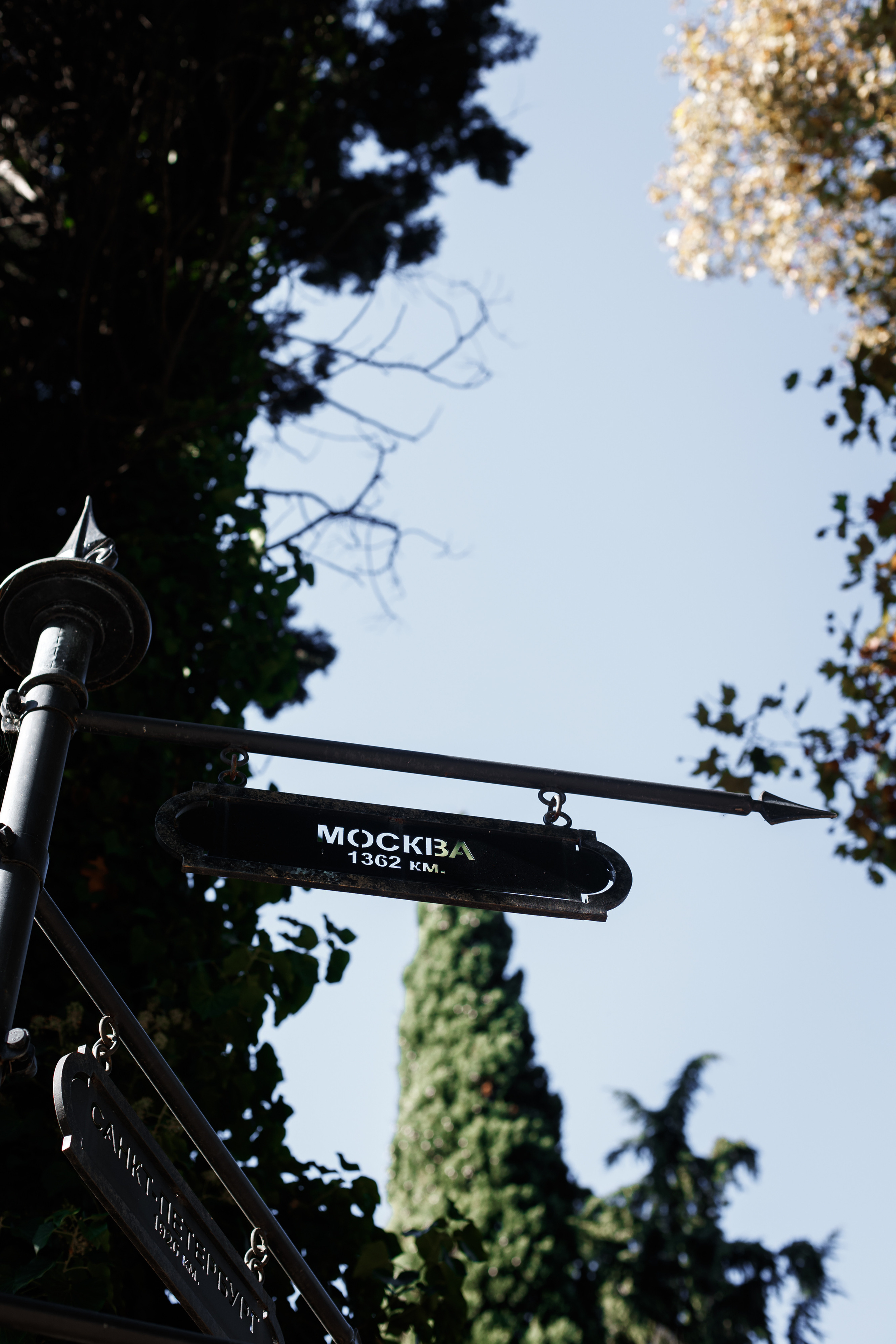 Прогулка для ДельМар. Фотограф Галина Скорик