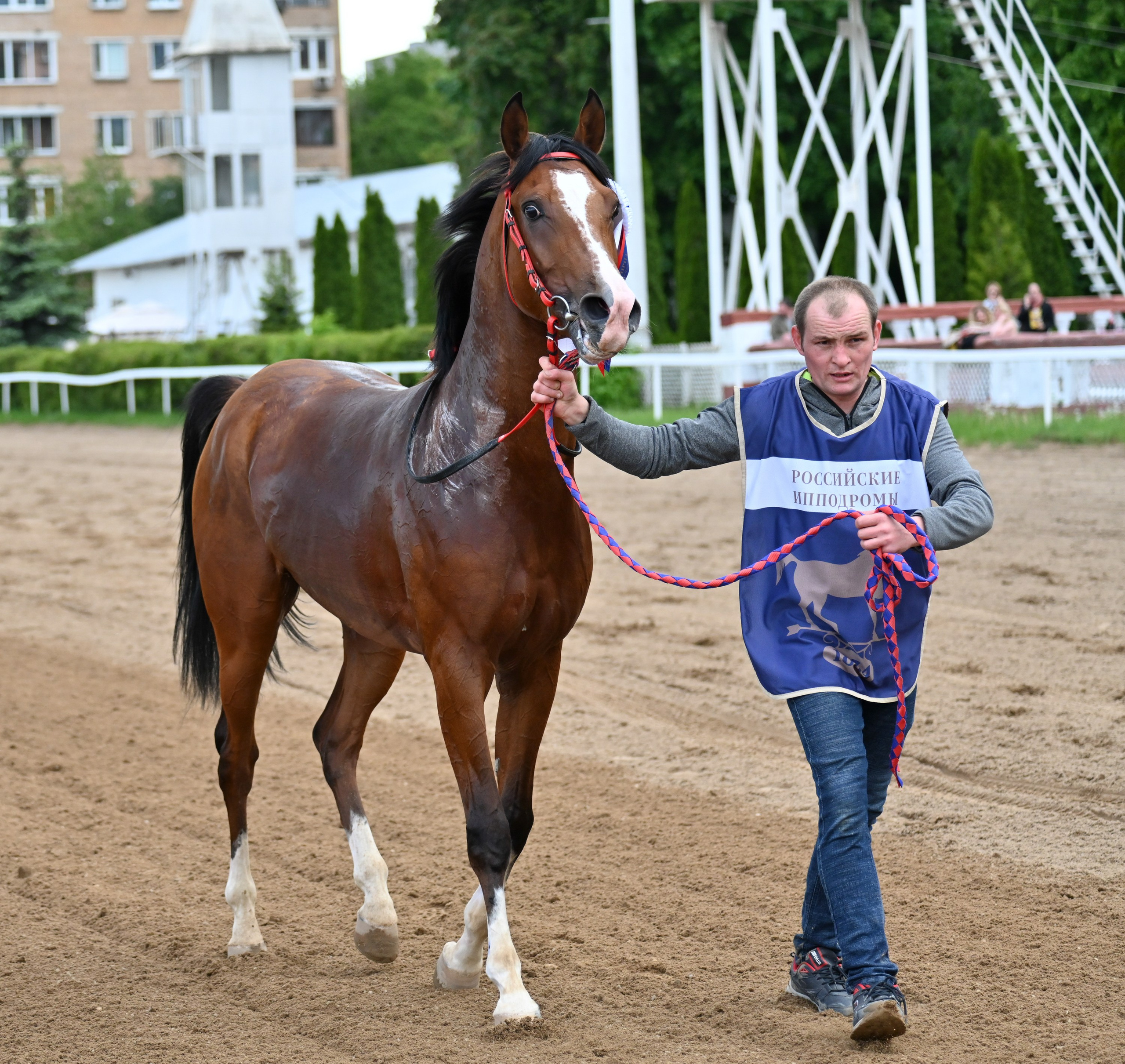 Московский ипподром. Fotolux