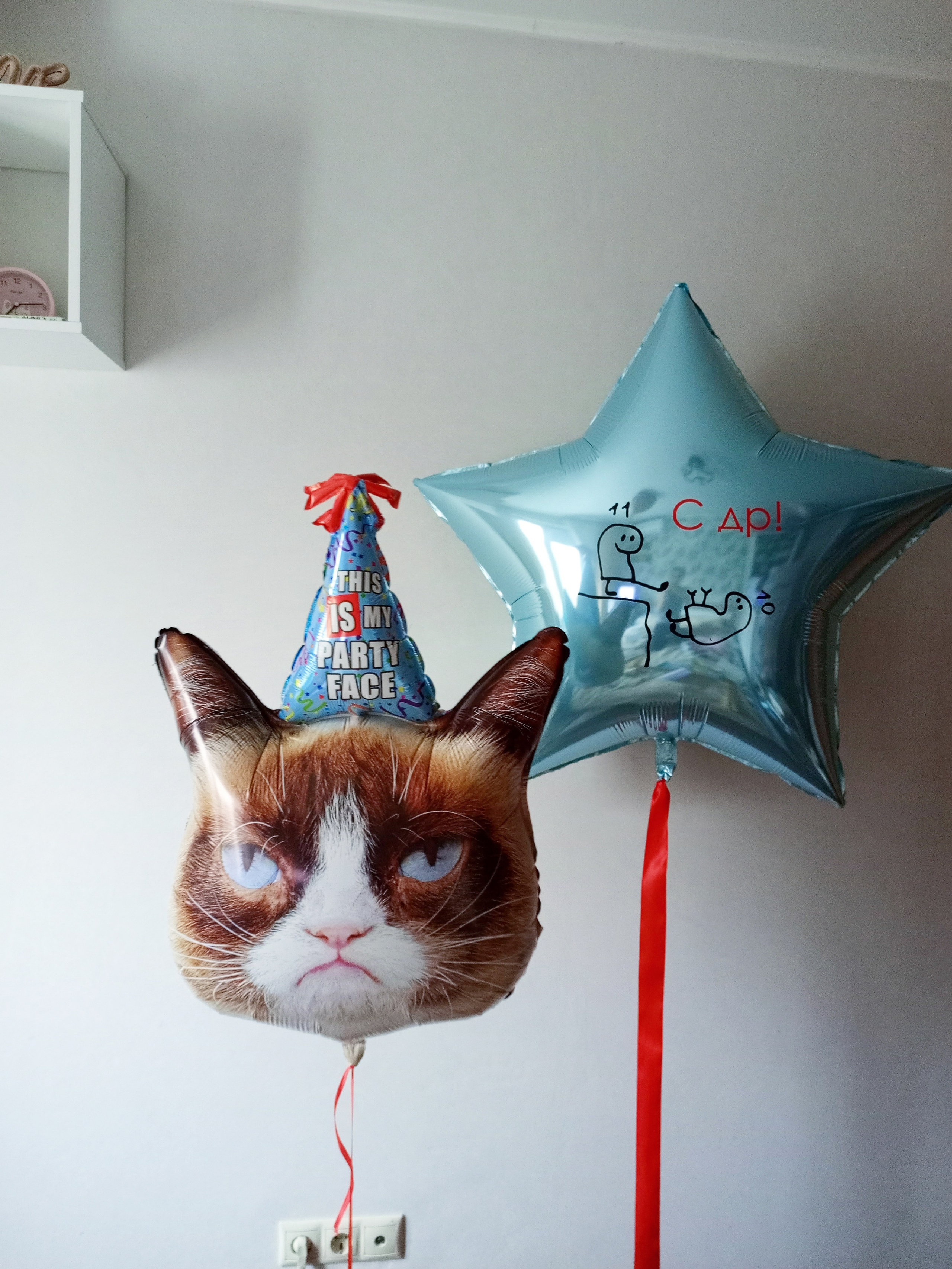 Мальчику на день рождения с 4 -17 лет. Аэродизайнер Елена Лин