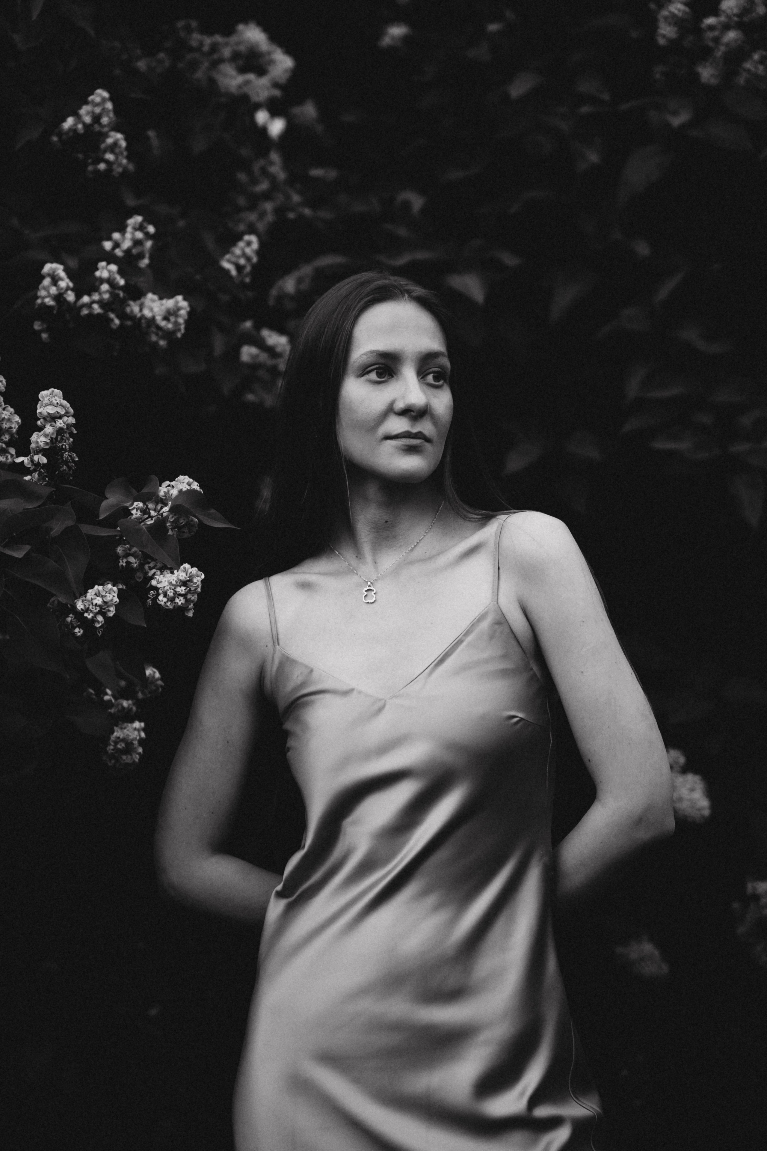 Сиреневый сад. Фотограф Москва