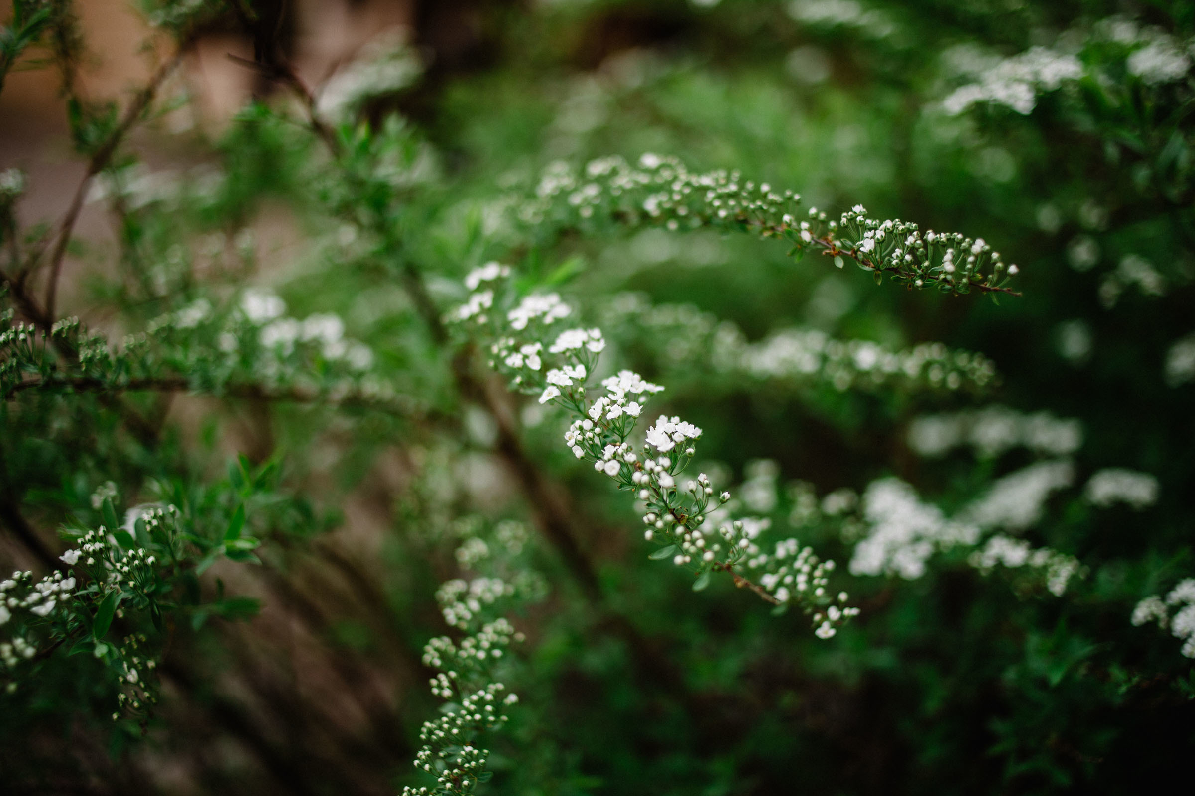 Семейная прогулка по улицам города Санкт-Петербурга. Семейный и свадебный фотограф в Майкопе Михаил Мартиросян