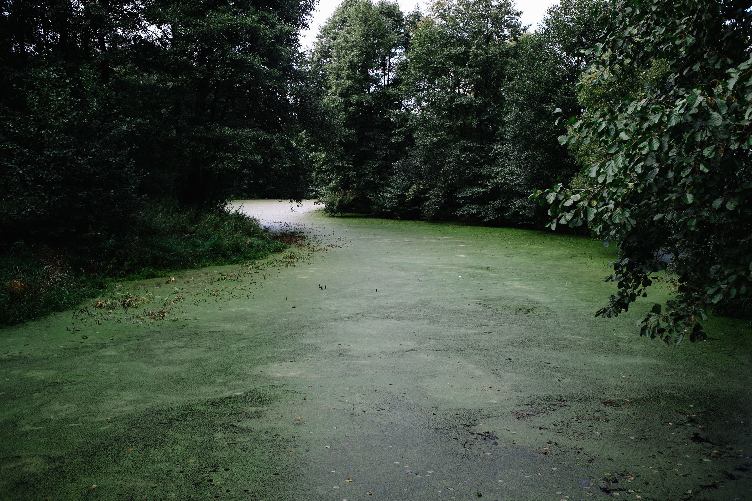 Фестиваль чая и практик в арт-усадьбе Гулица. Семейный и свадебный фотограф в Майкопе Михаил Мартиросян