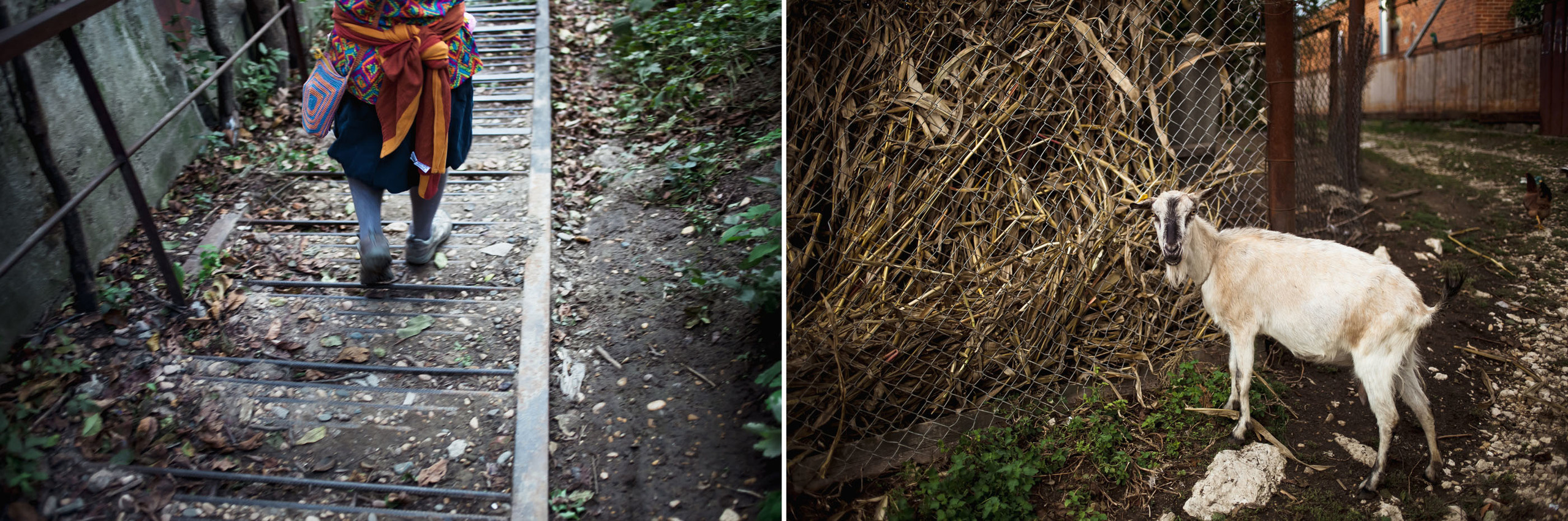 Семейная фотосессия мамы с малышкой. Семейный и свадебный фотограф в Майкопе Михаил Мартиросян