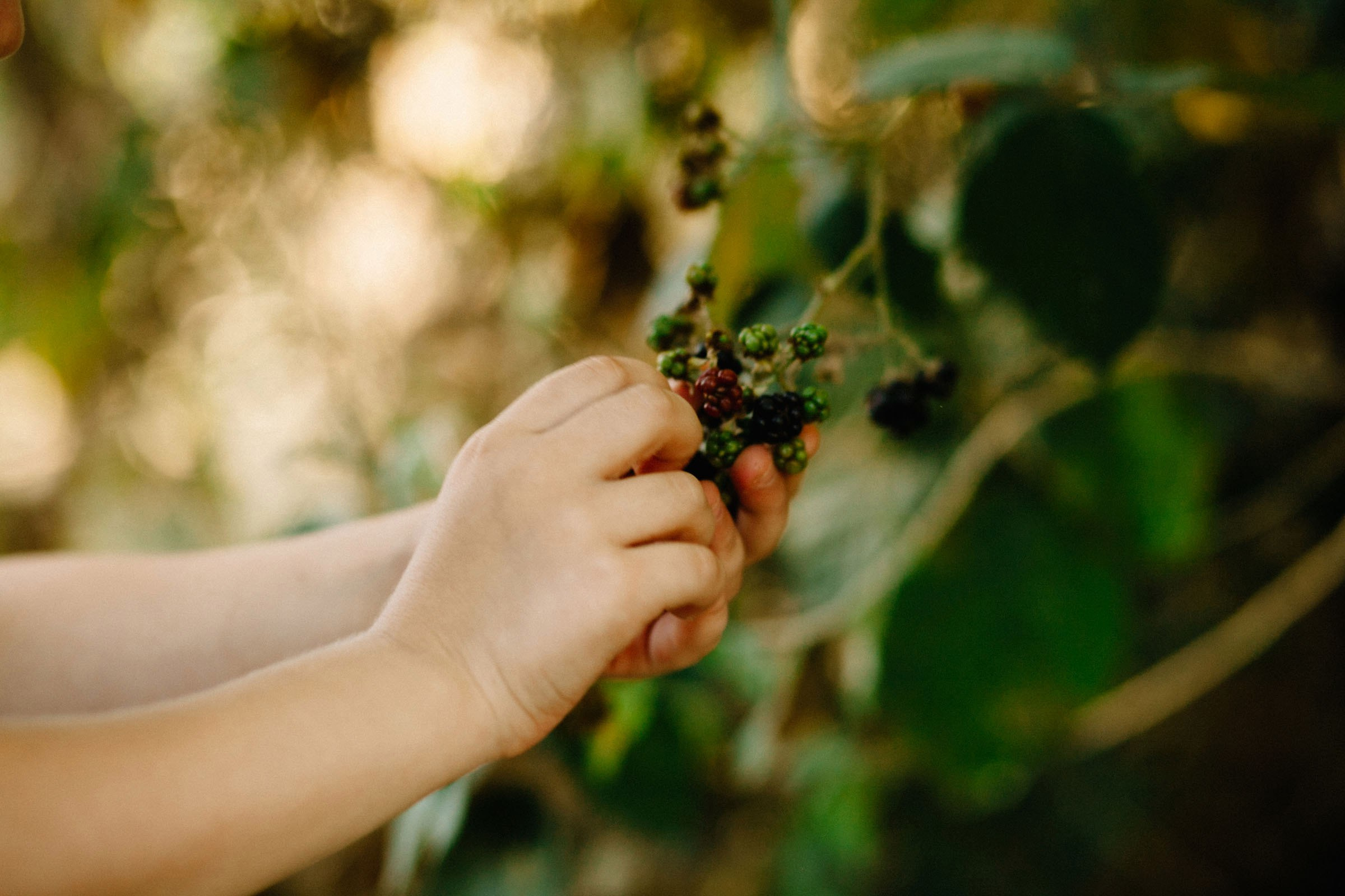 Семейная фотосессия беременности. Семейный и свадебный фотограф в Майкопе Михаил Мартиросян