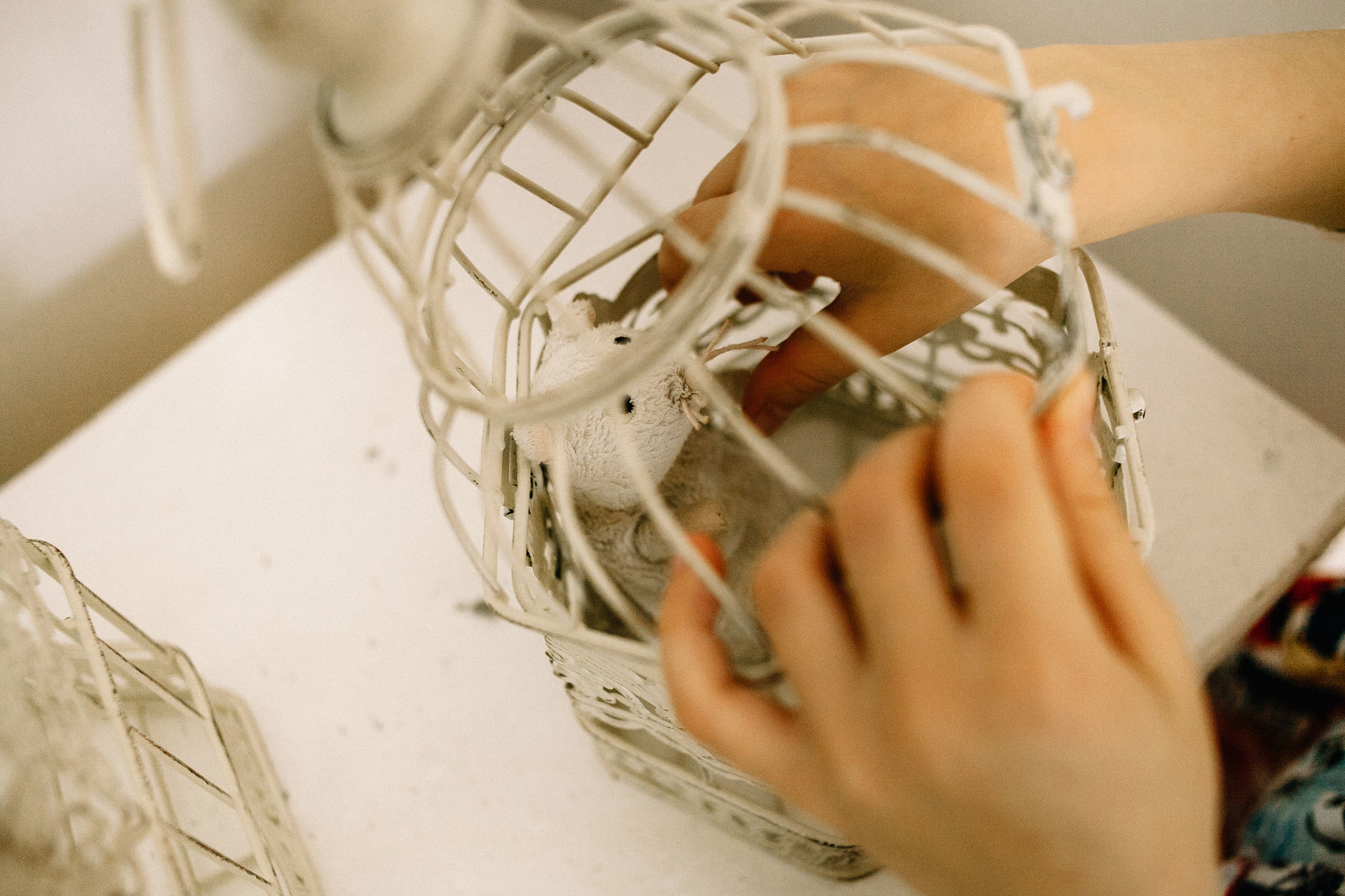 Фотосъёмка беременности. Семейный и свадебный фотограф в Майкопе Михаил Мартиросян