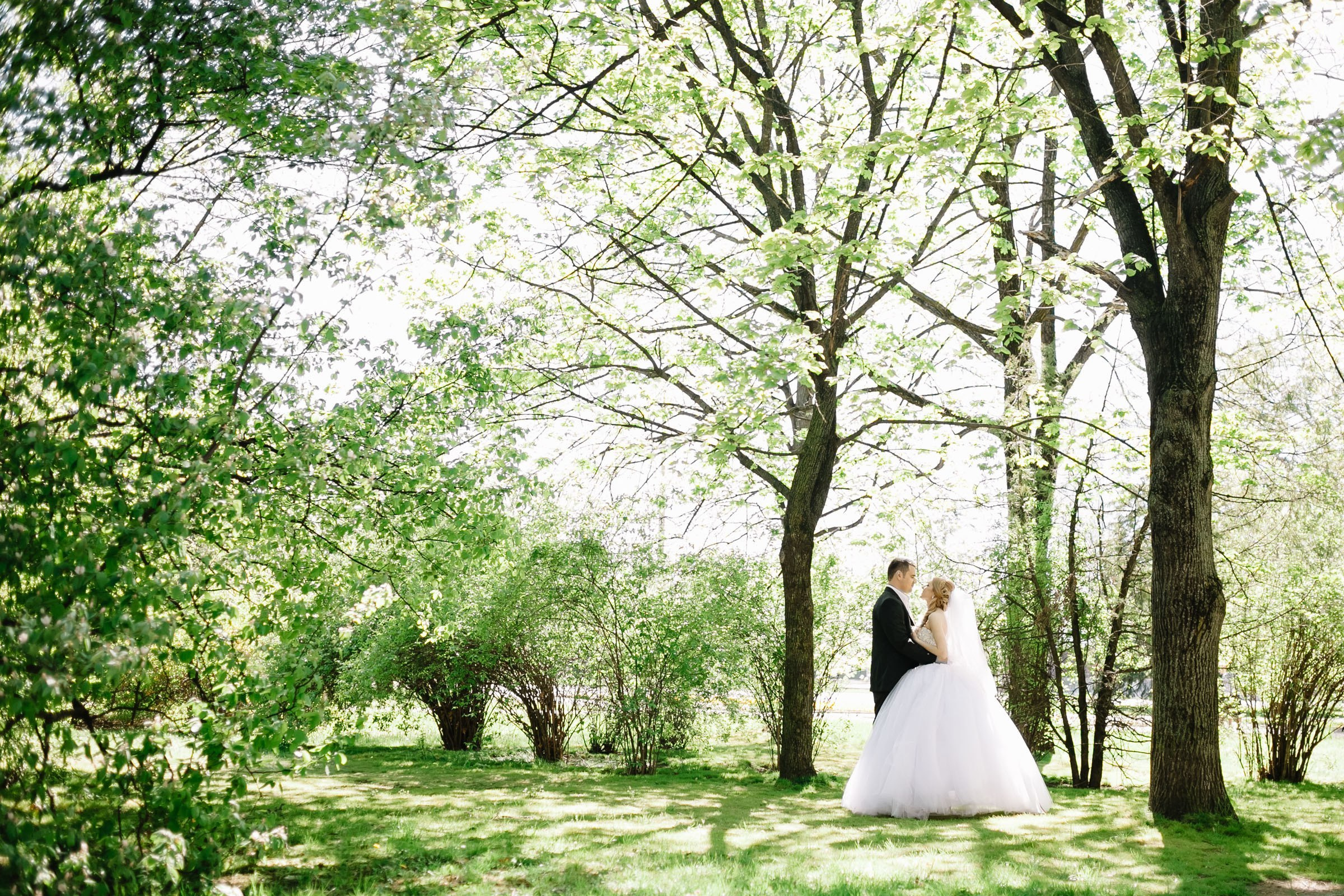 Ангелина + Дима. Семейный и свадебный фотограф в Майкопе Михаил Мартиросян