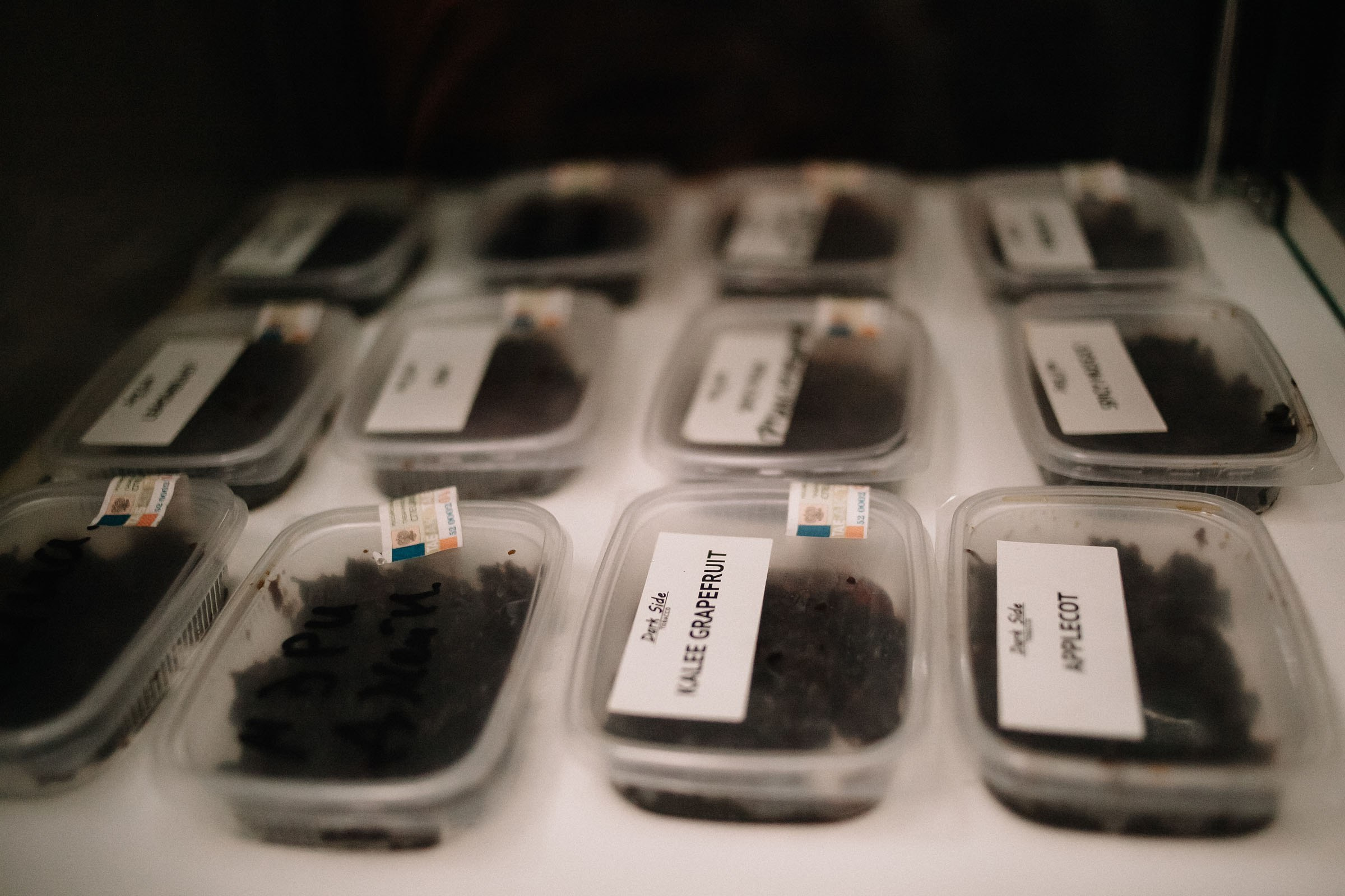 Hookah place. Семейный и свадебный фотограф в Майкопе Михаил Мартиросян