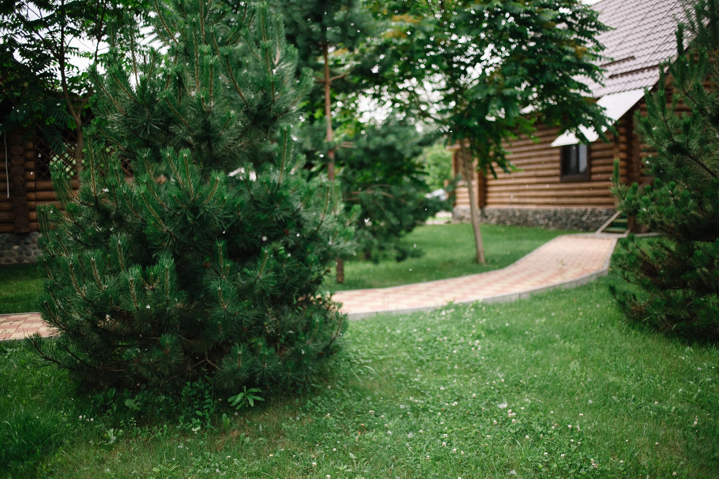 Ира + Дима. Семейный и свадебный фотограф в Майкопе Михаил Мартиросян