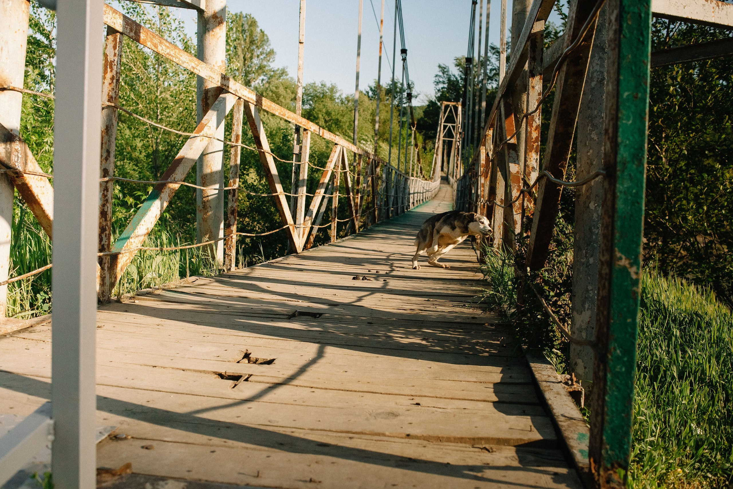 Фотосессия на годовщину свадьбы. Семейный и свадебный фотограф в Майкопе Михаил Мартиросян