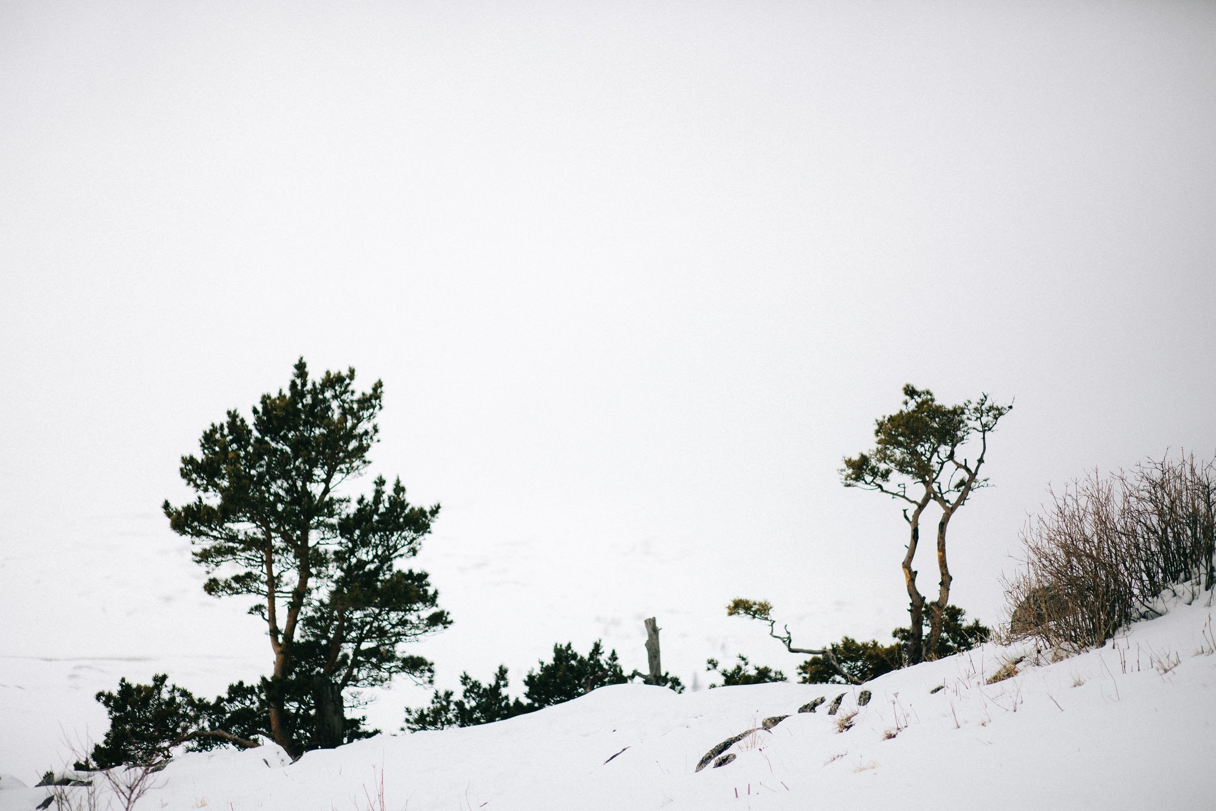 Фотосессия для пары на панораме Лаго-Наки зимой. Семейный и свадебный фотограф в Майкопе Михаил Мартиросян