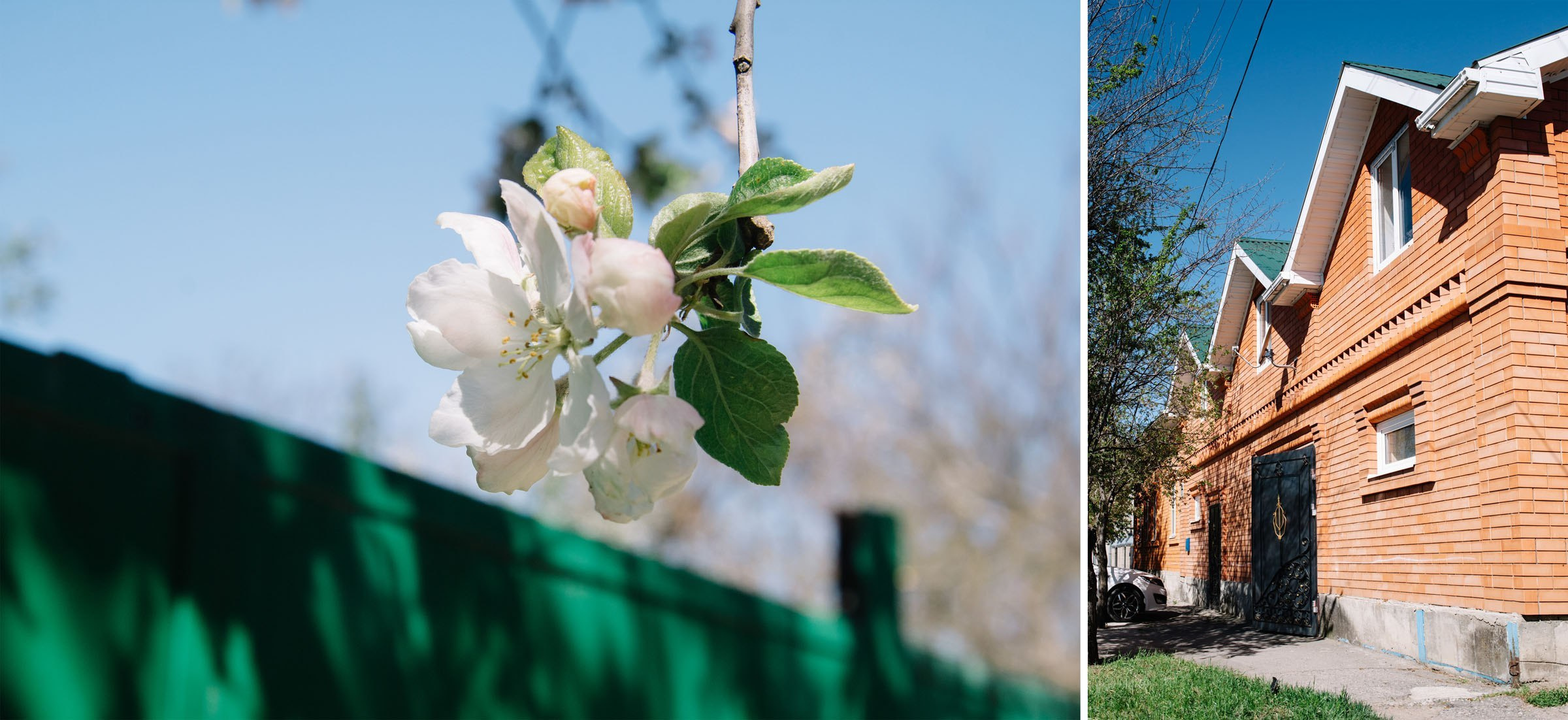 Ангелина + Дима. Семейный и свадебный фотограф в Майкопе Михаил Мартиросян