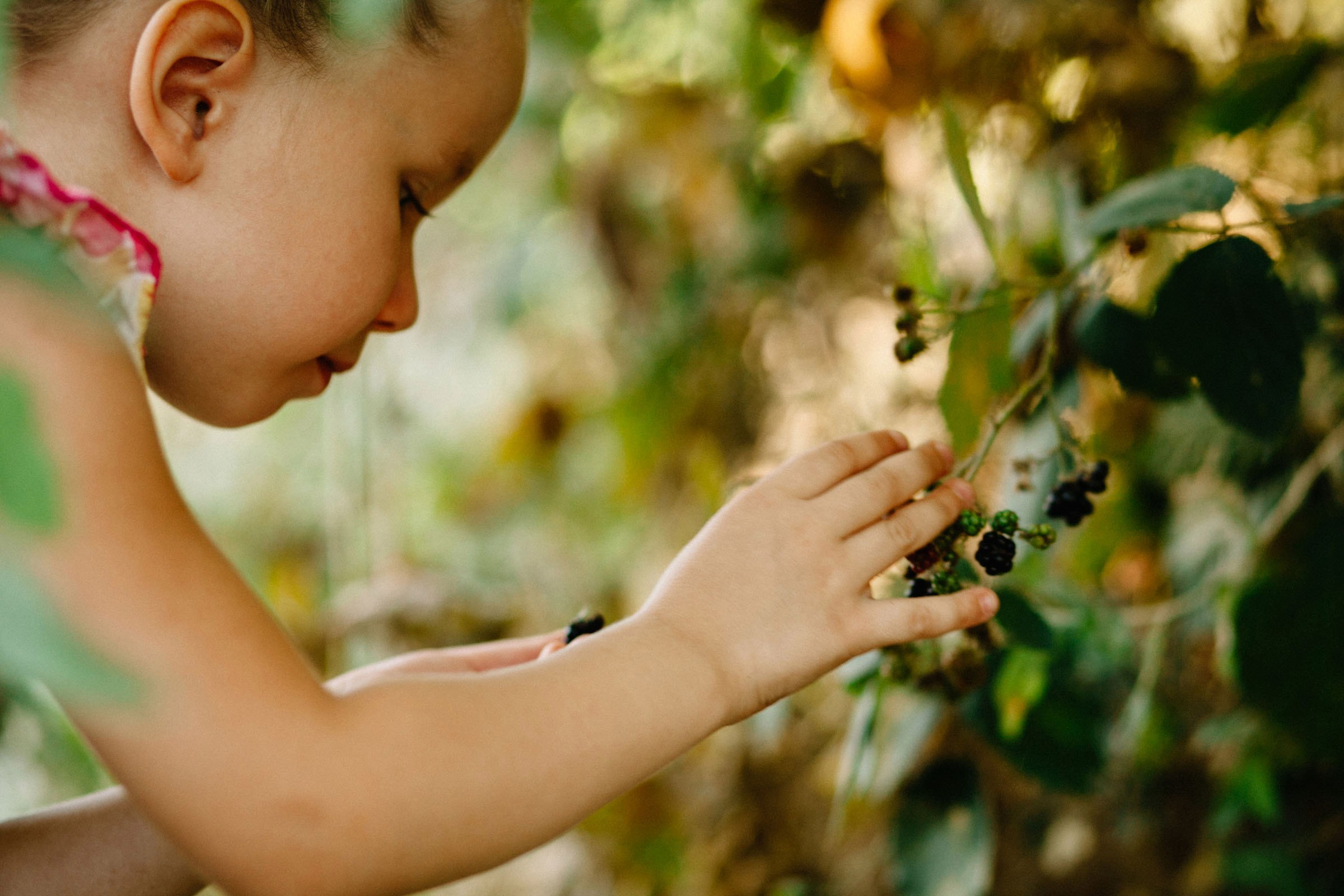 Семейная фотосессия беременности. Семейный и свадебный фотограф в Майкопе Михаил Мартиросян