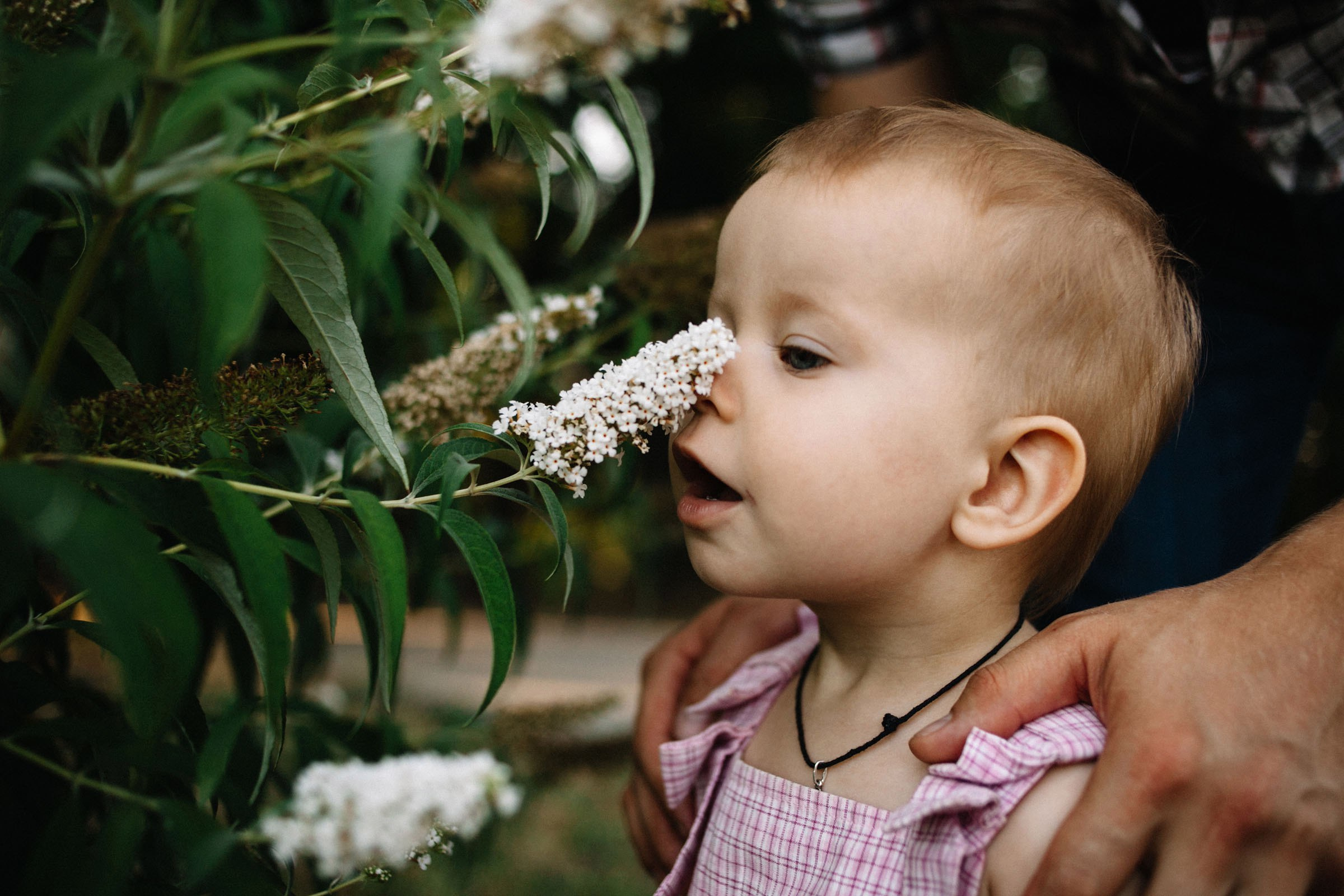 Семейная фотосессия беременности. Семейный и свадебный фотограф в Майкопе Михаил Мартиросян