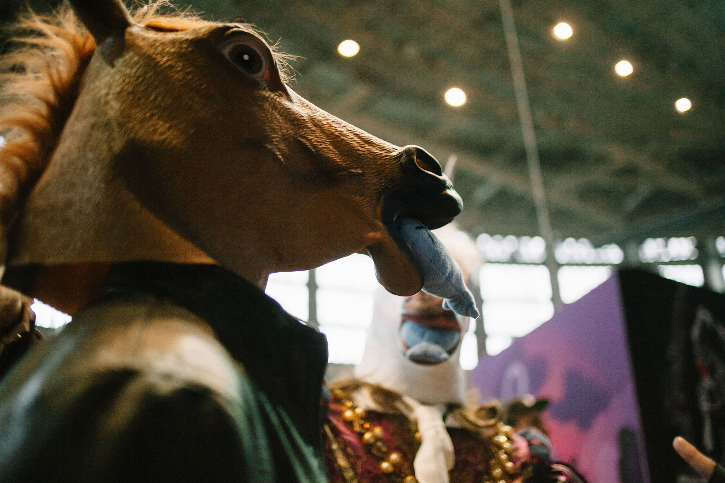 COMIC CON SPB 2016. Семейный и свадебный фотограф в Майкопе Михаил Мартиросян