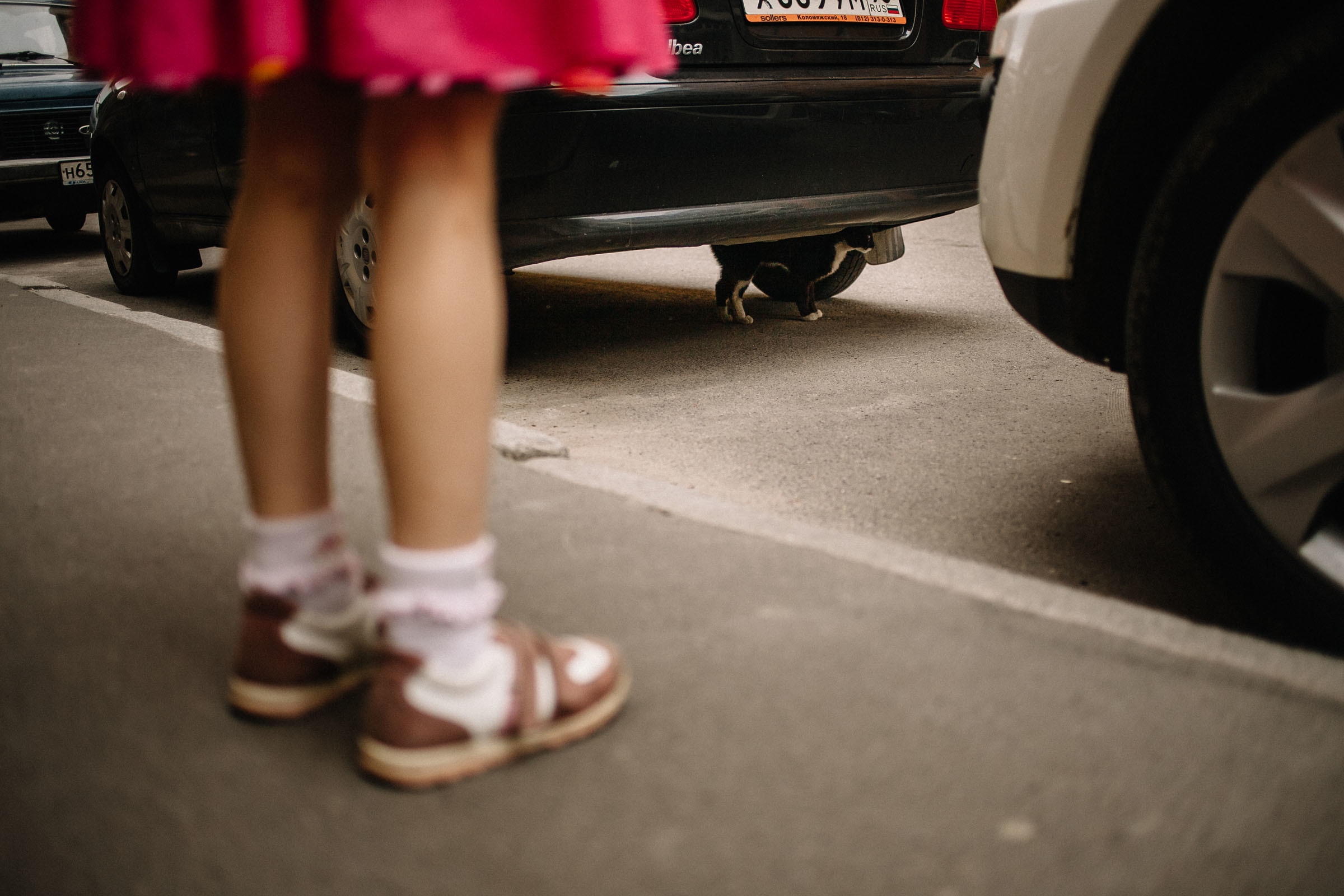 Фотосъёмка беременности. Семейный и свадебный фотограф в Майкопе Михаил Мартиросян