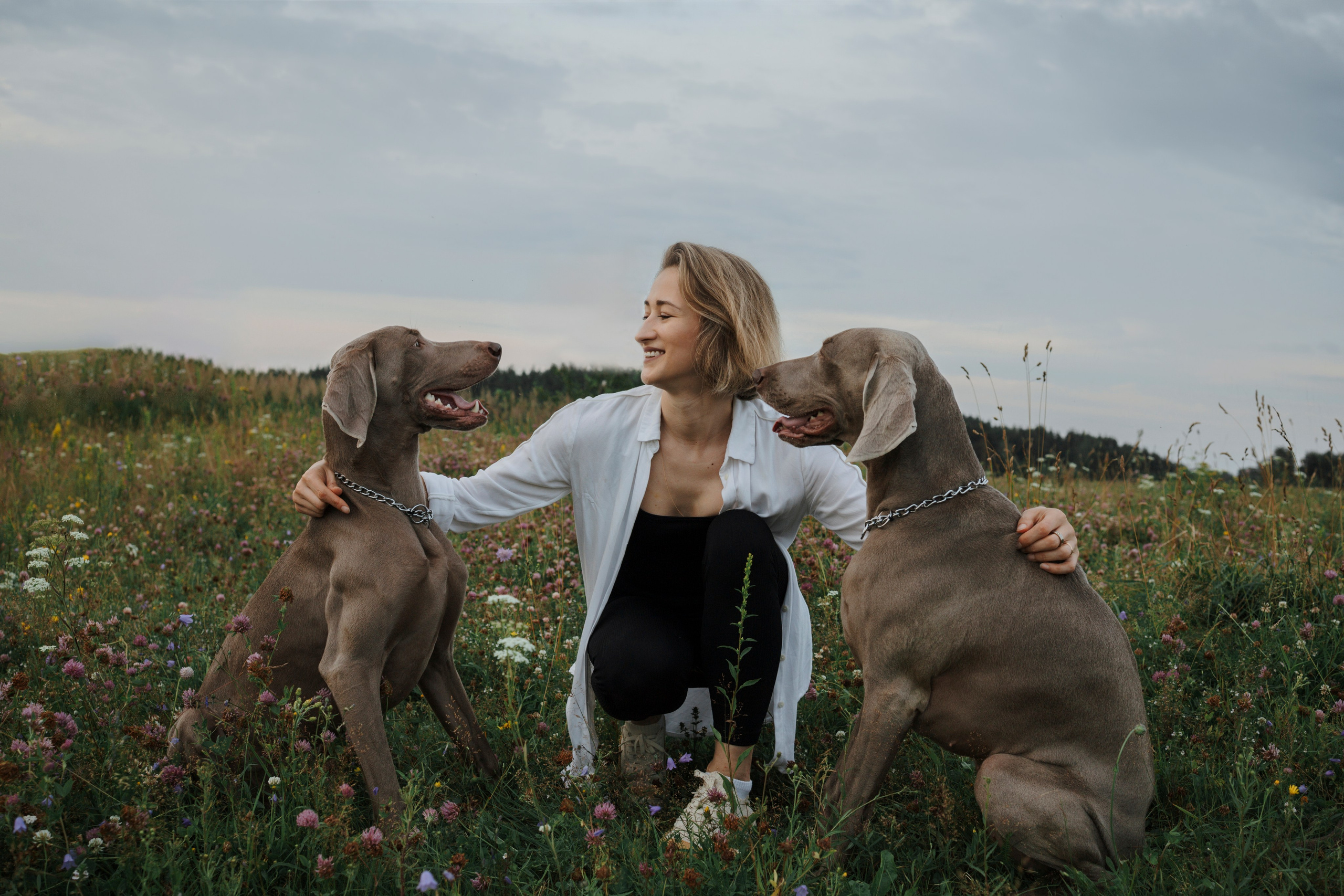 Маргарита и веймаранеры. Фотограф-анималист в Санкт-Петеребурге Титова Алиса