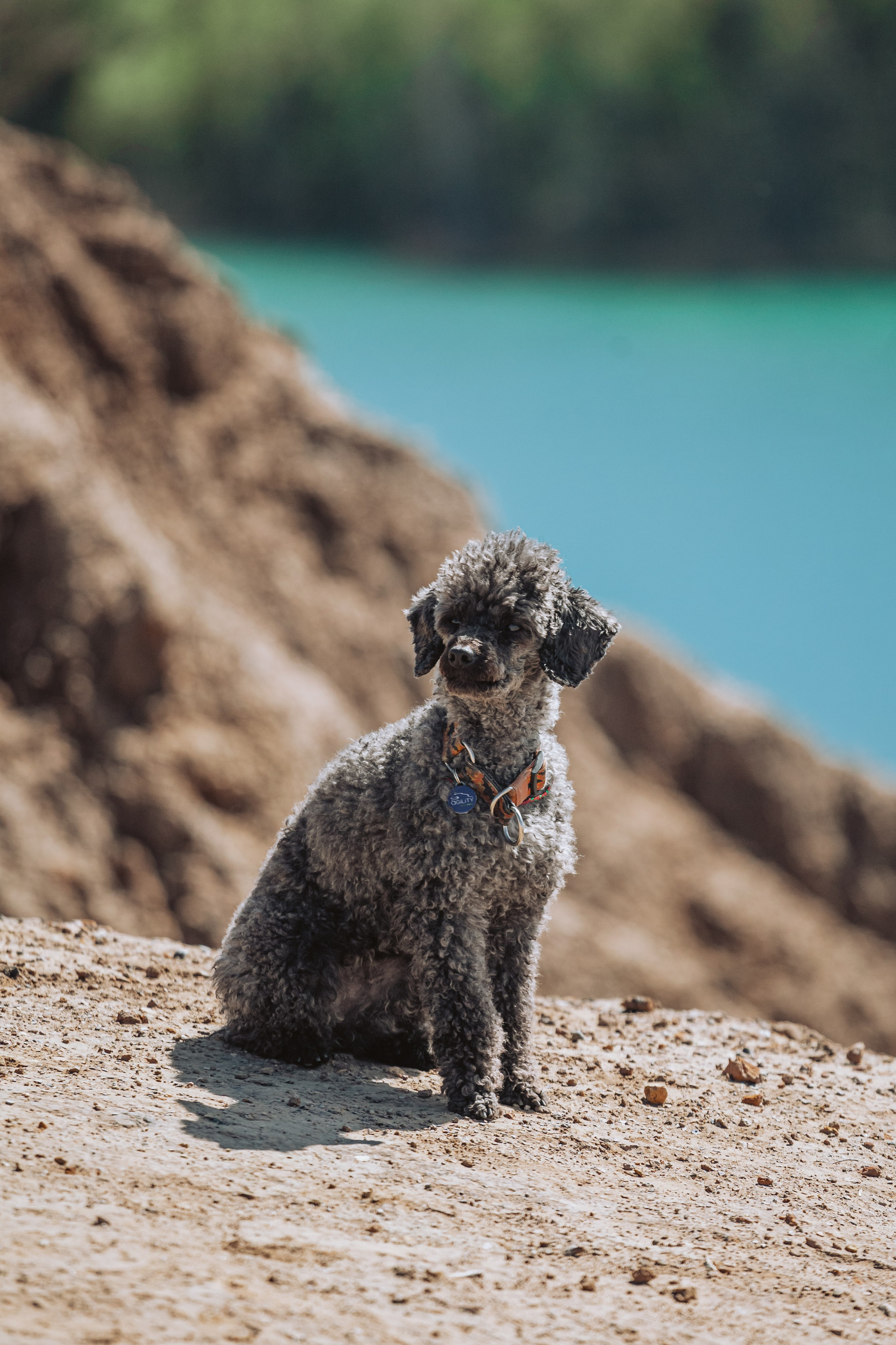 Кондуки. Фотограф-анималист Татьяна Степанова