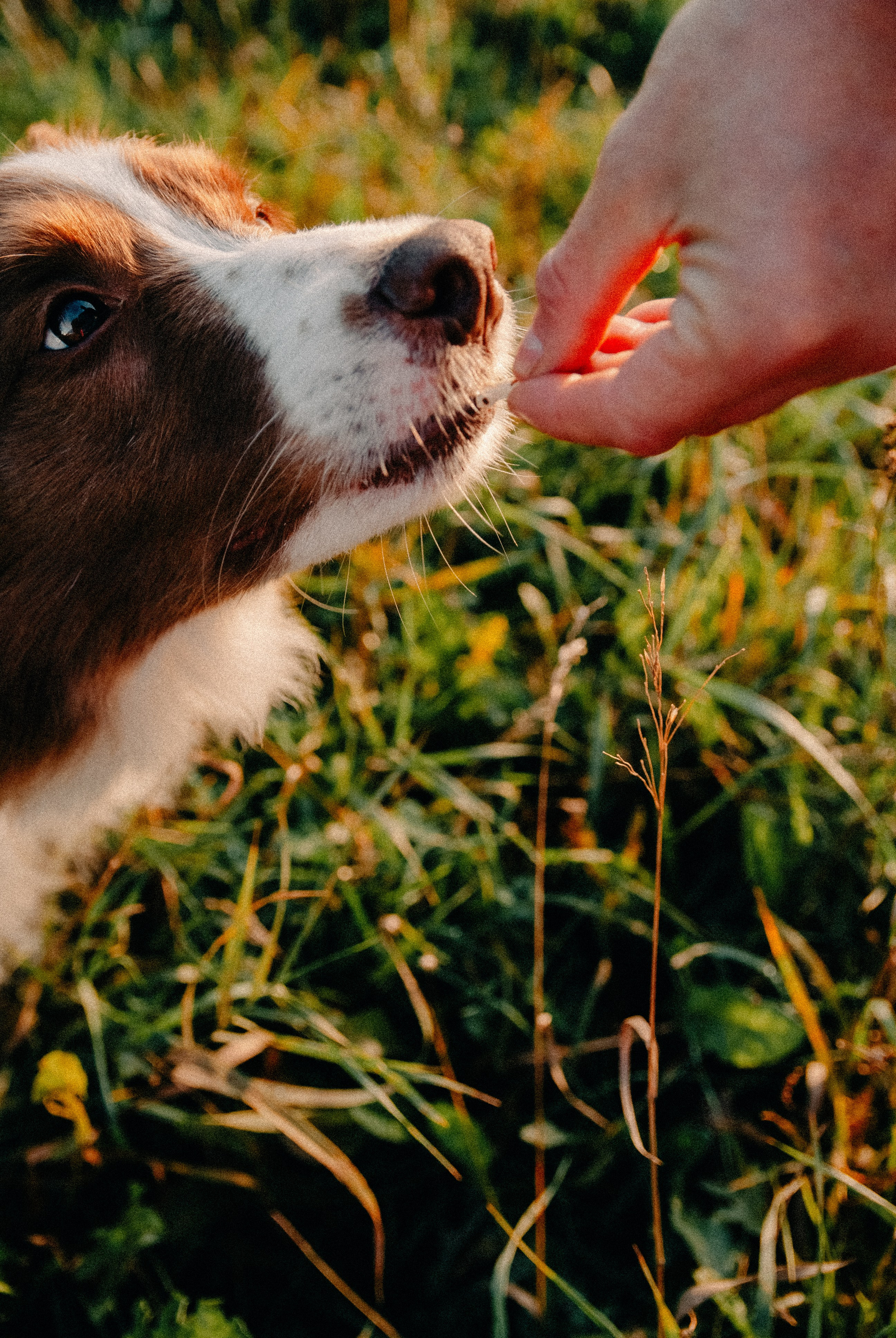 Зоопарк в моём багаже. Кошенкова Мария: портретный и репортажный фотограф. Санкт-Петербург