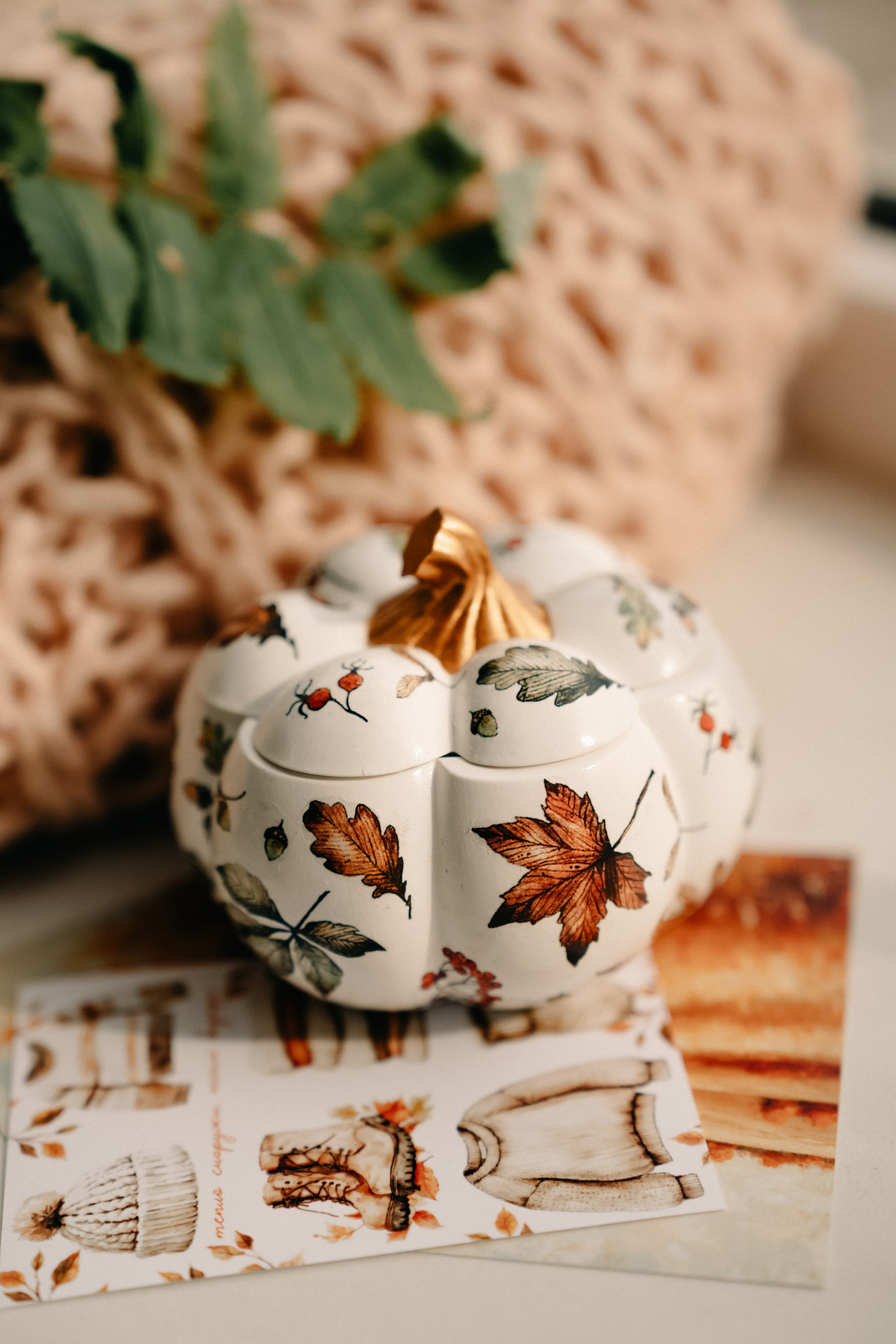 Контент-съёмка. Кошенкова Мария: портретный и репортажный фотограф. Санкт-Петербург