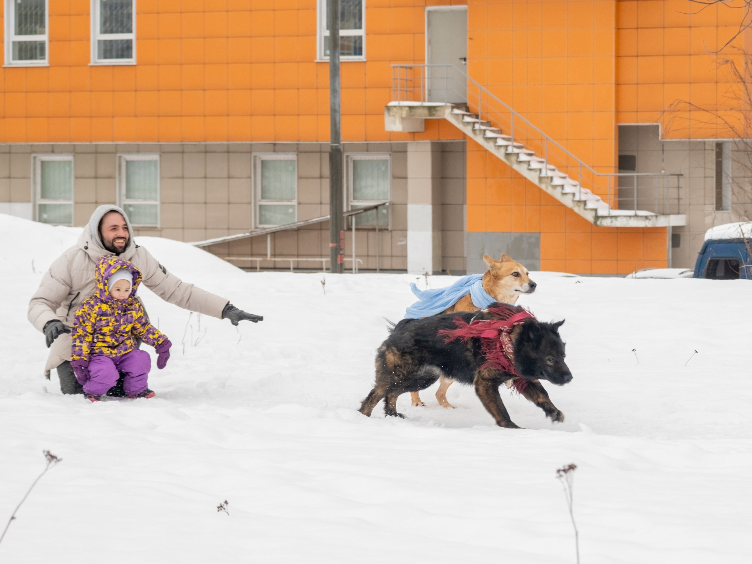 Прекрасная семья Кирилла и Лилии!. Зоофотограф, фотограф животных в Москве и области Дина Дамоцева