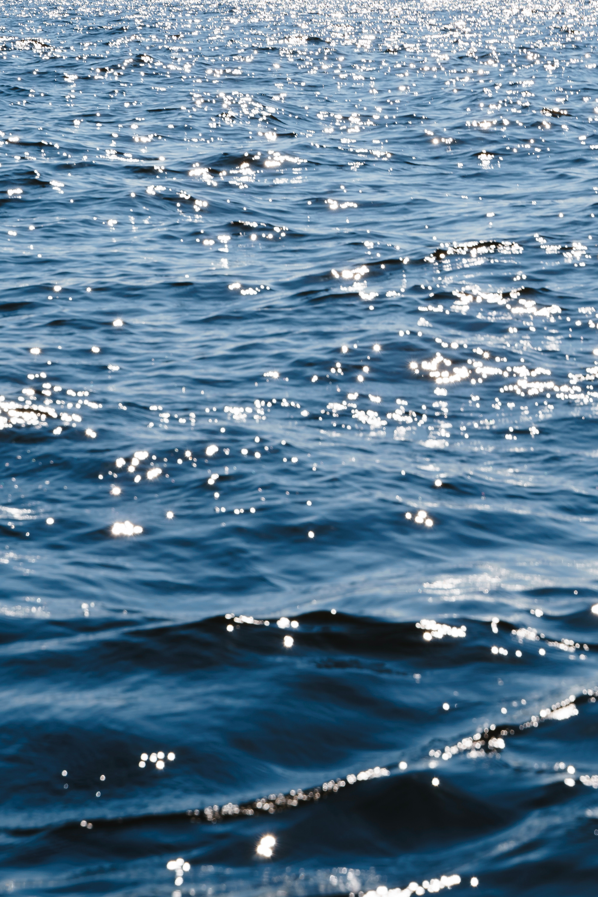 Спорт. Фотограф Арина Жирякова