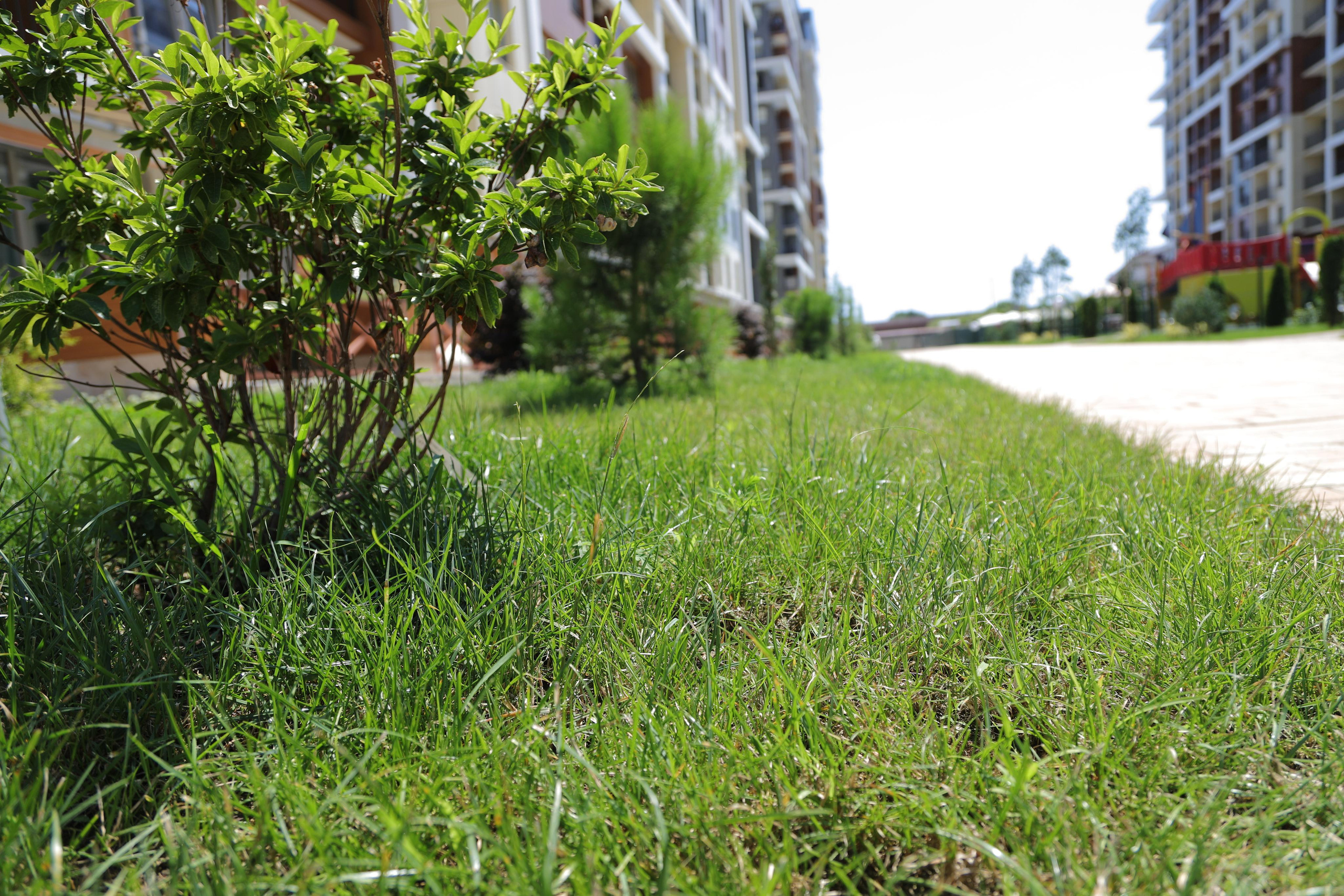 Энтерьерная съемка в сочи