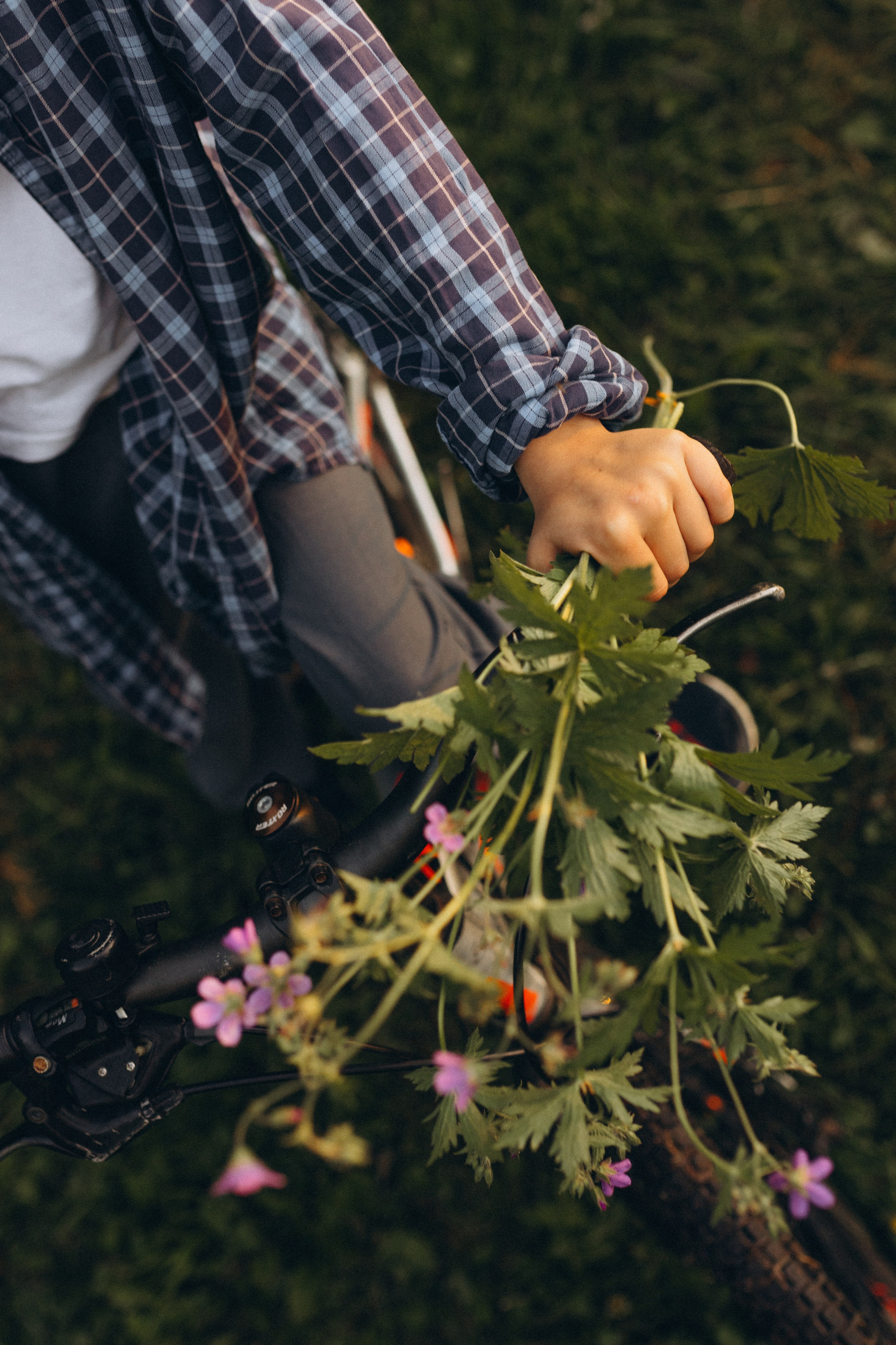 История одного букета. Семейный фотограф в Москве Жукова Анна