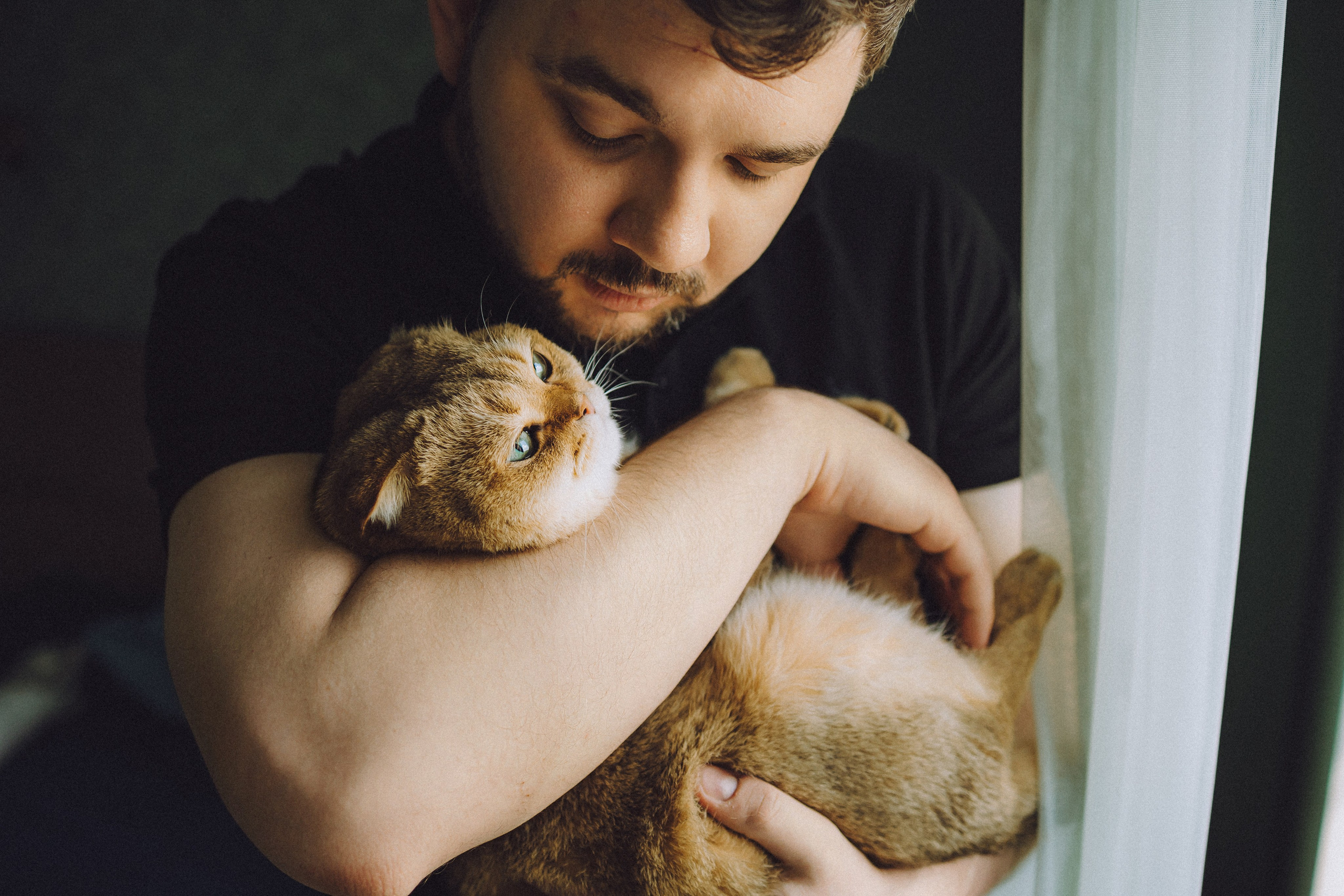 Генри и его семья