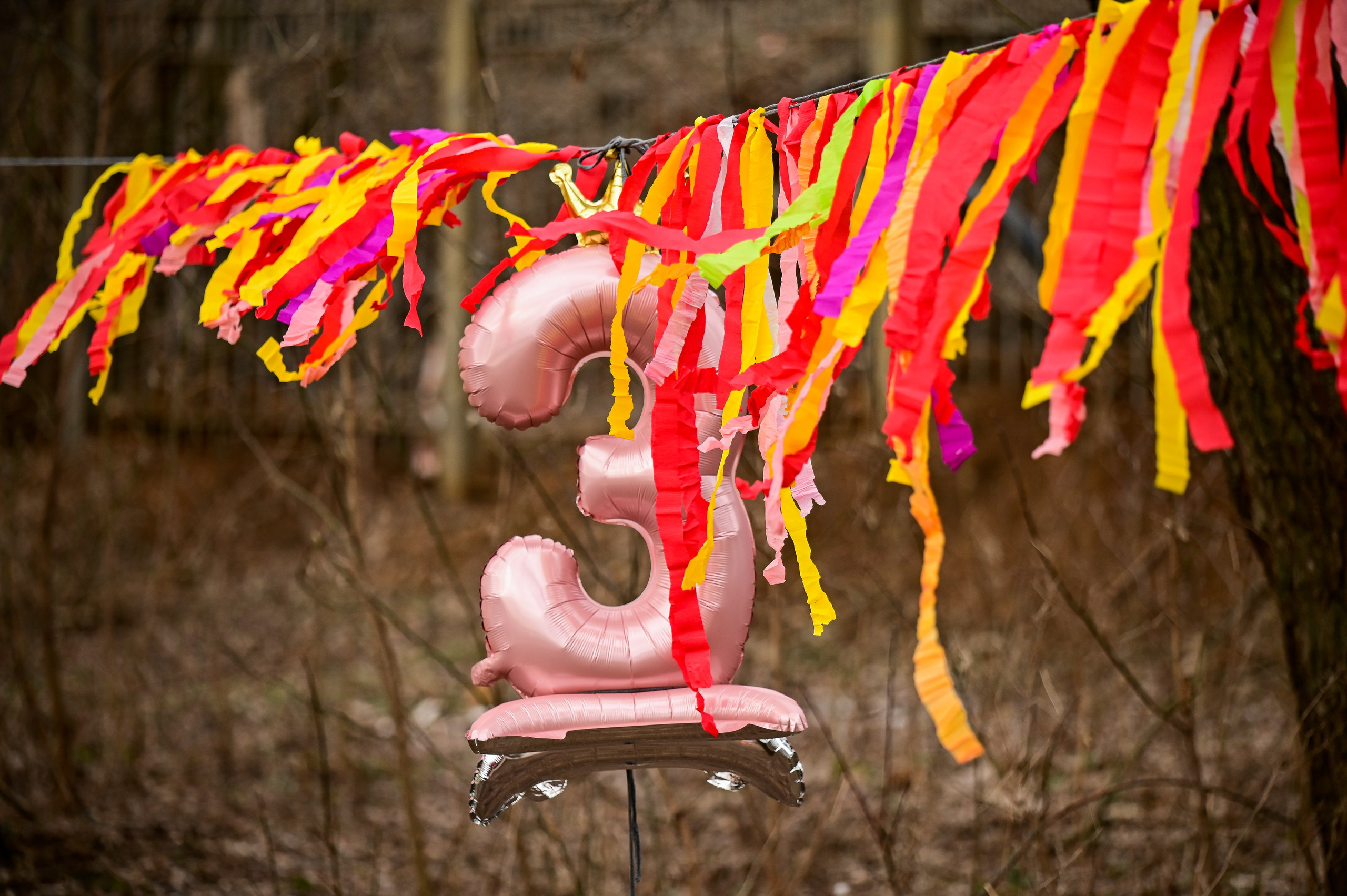 ЗабегИ в Царицыно. 3 года. Фотограф | Ирина Гамзинова | Москва