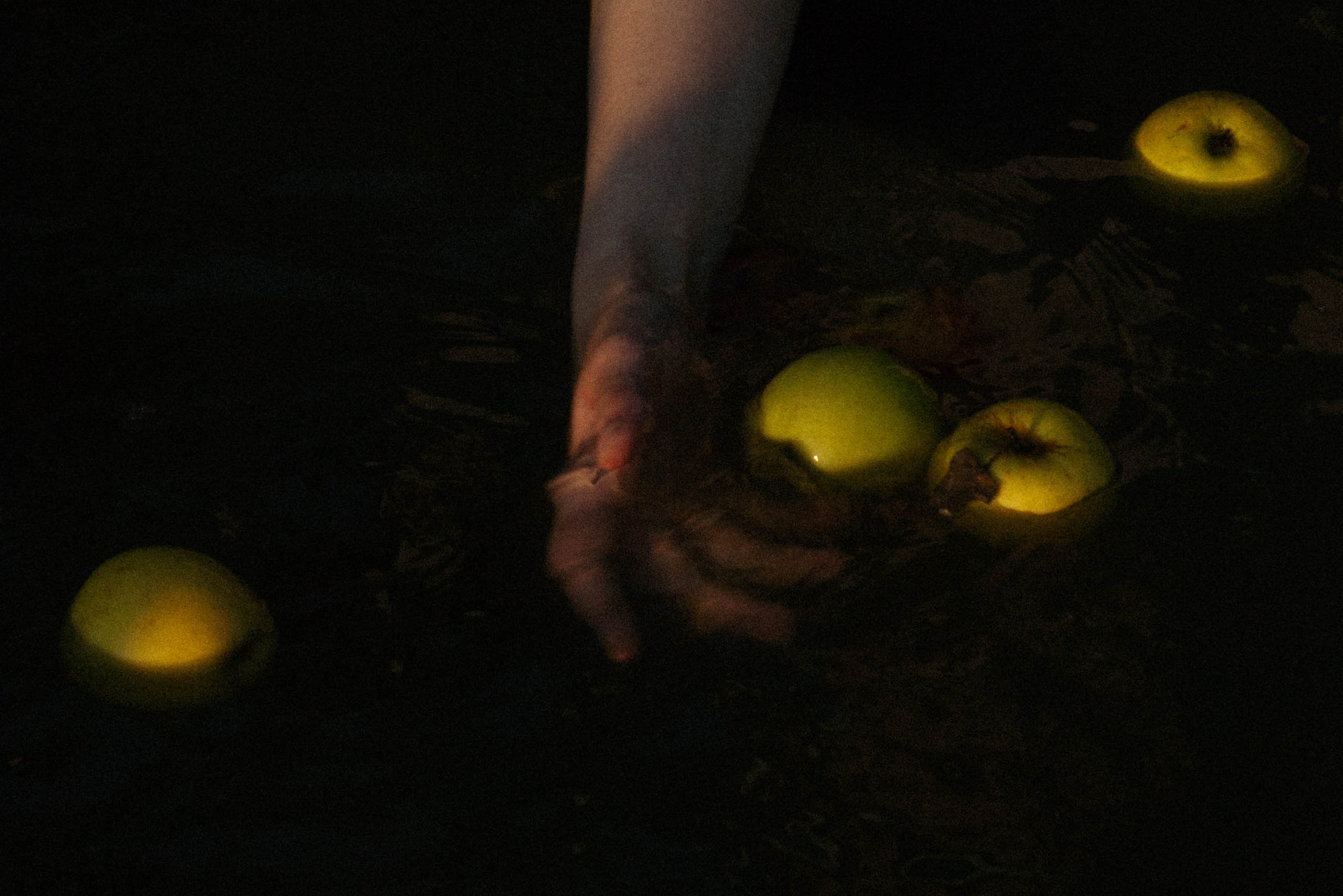 Яблонный. Портретный и Арт фотограф Москва, Санкт-Петербург, Тбилиси