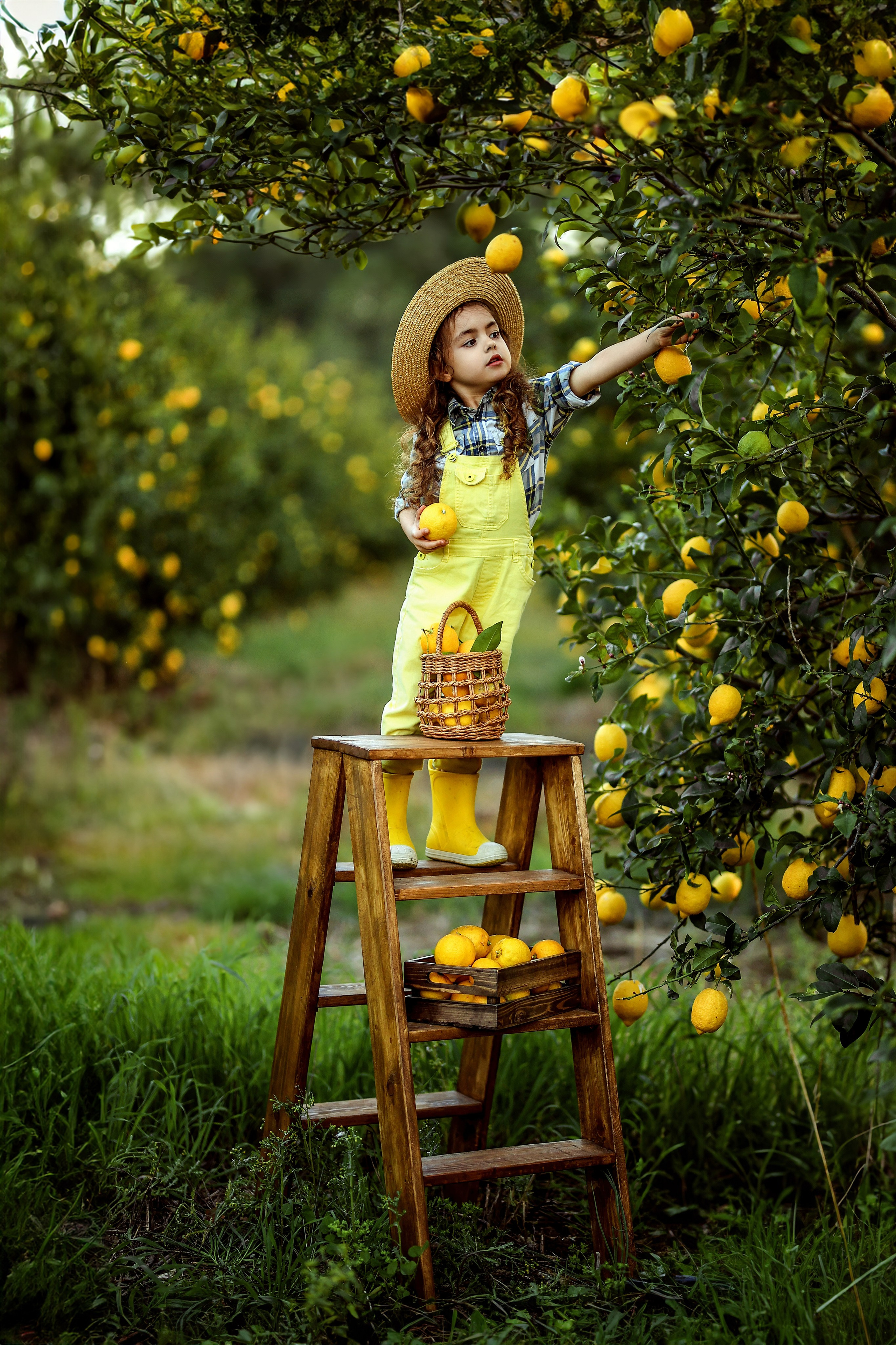 Potoshooting in lemon garden