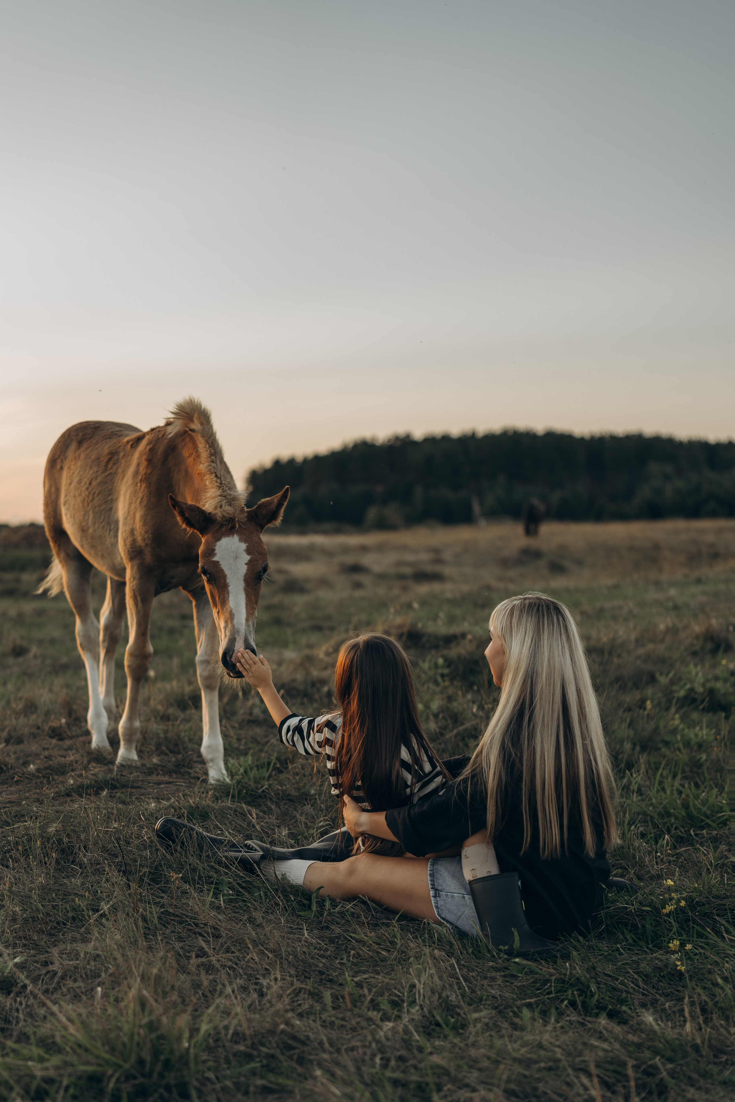 Детство, лошади, природа. Семейный фотограф Москва. Фотограф беременности и материнства Москва