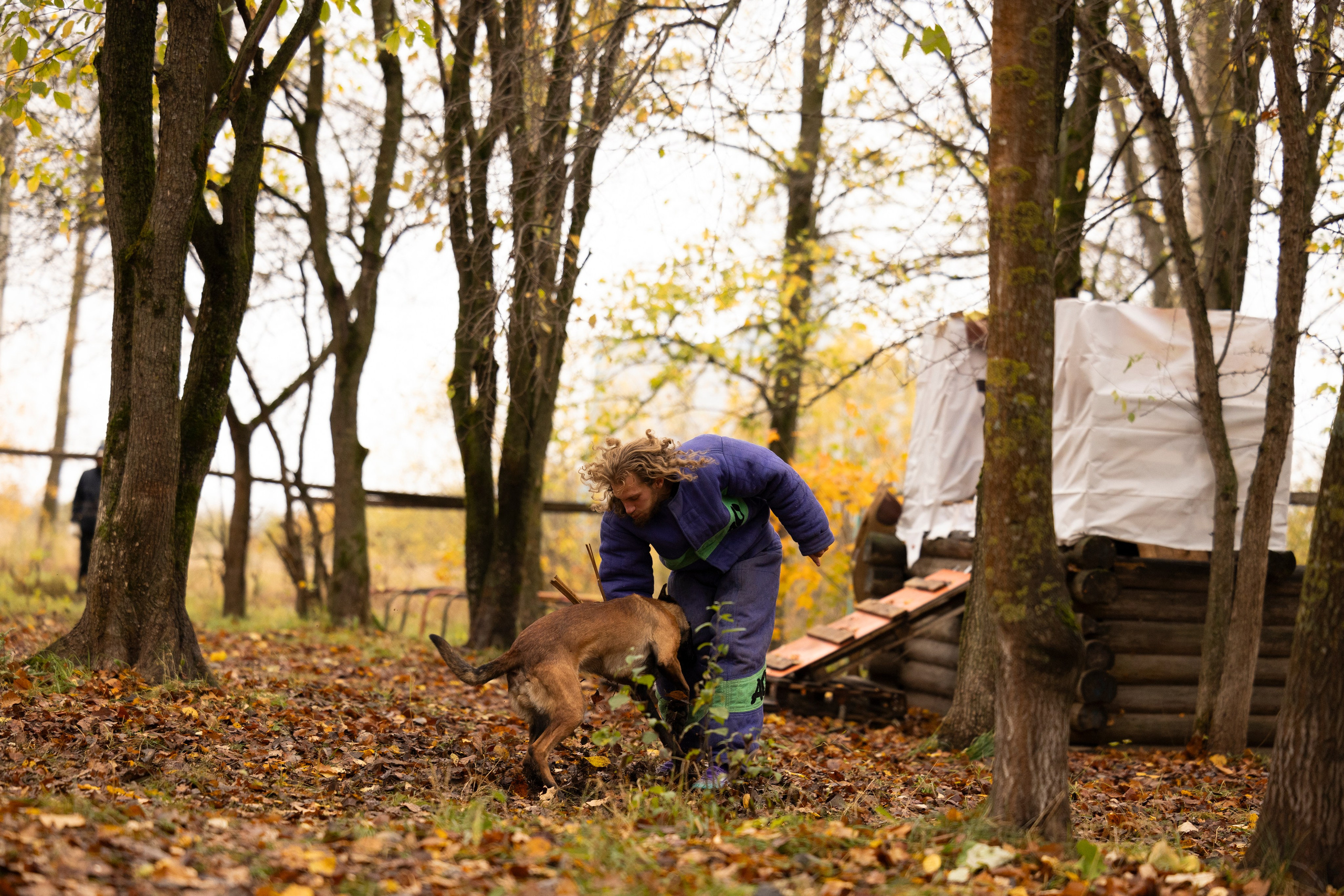 Соревнования по Мондьорингу г. Вологда. Фотограф-анималист Анна Маринич
