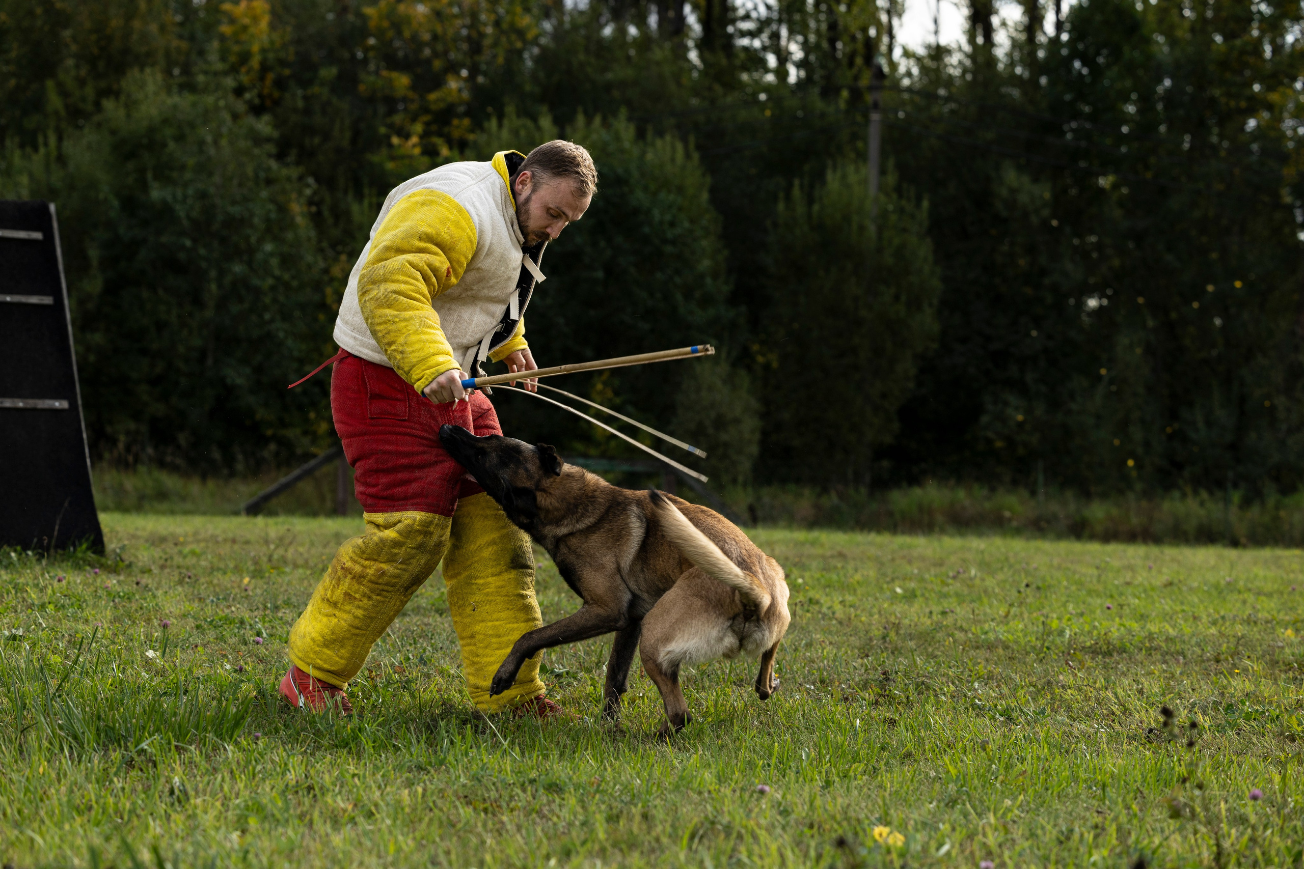 Испытания по Мондьорингу г. Пушкин. Фотограф-анималист Анна Маринич