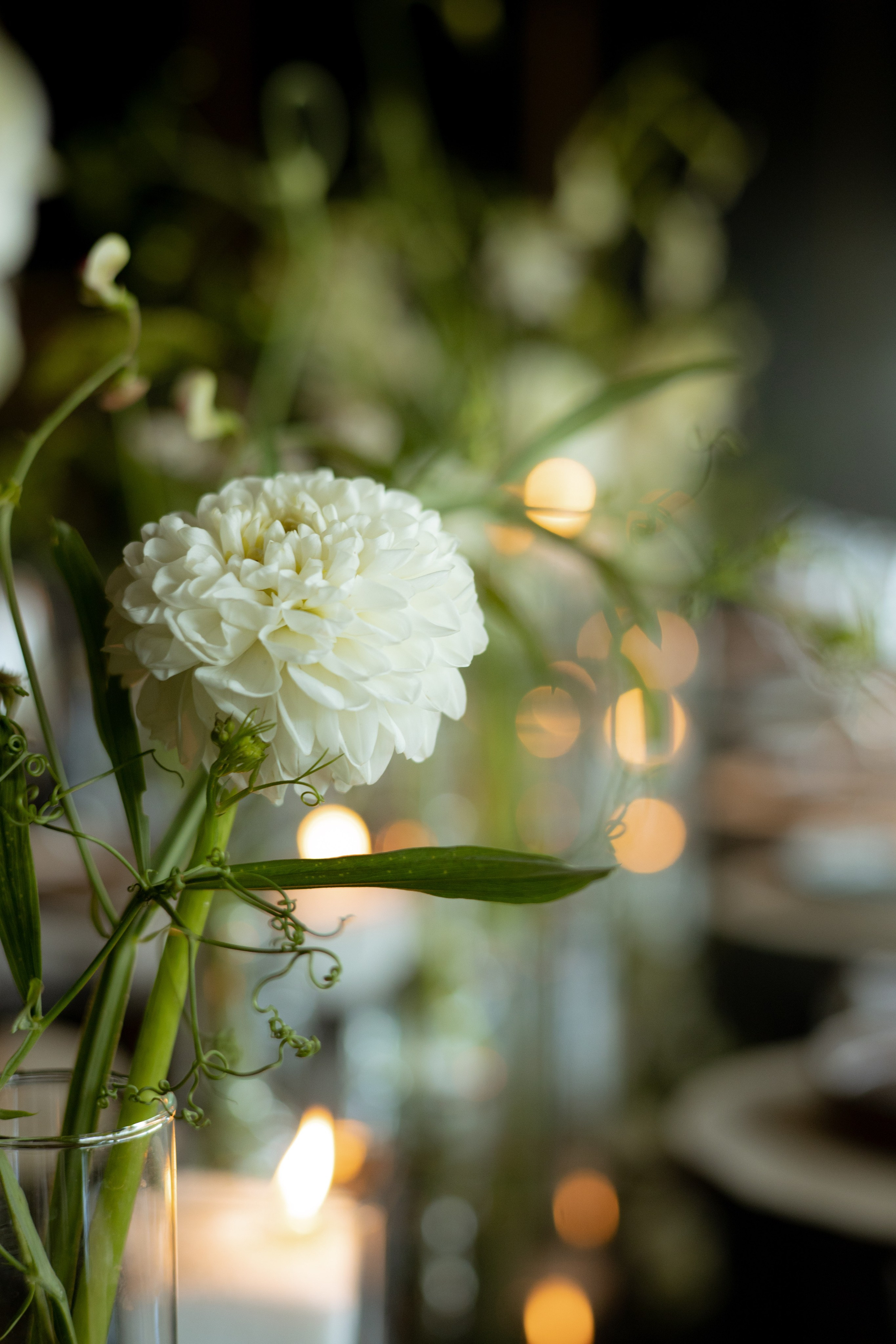 Алина & Николай. Оформление свадеб, декор свадеб Вера Маркова, Москва